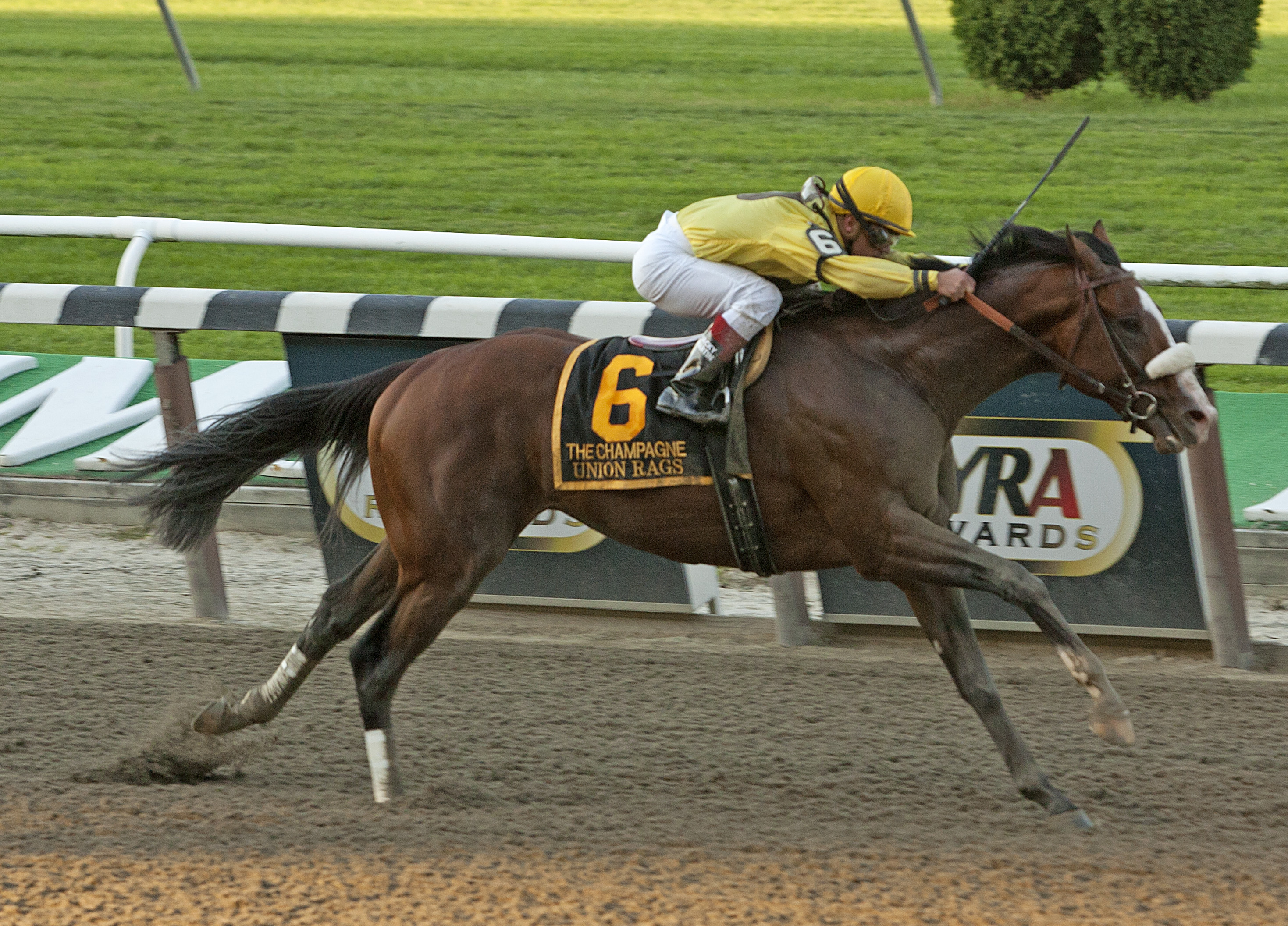 Union Rags, Champagne