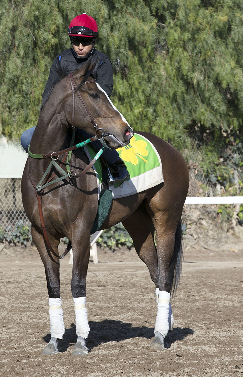 Union Strike at Santa Anita Park in February 2018