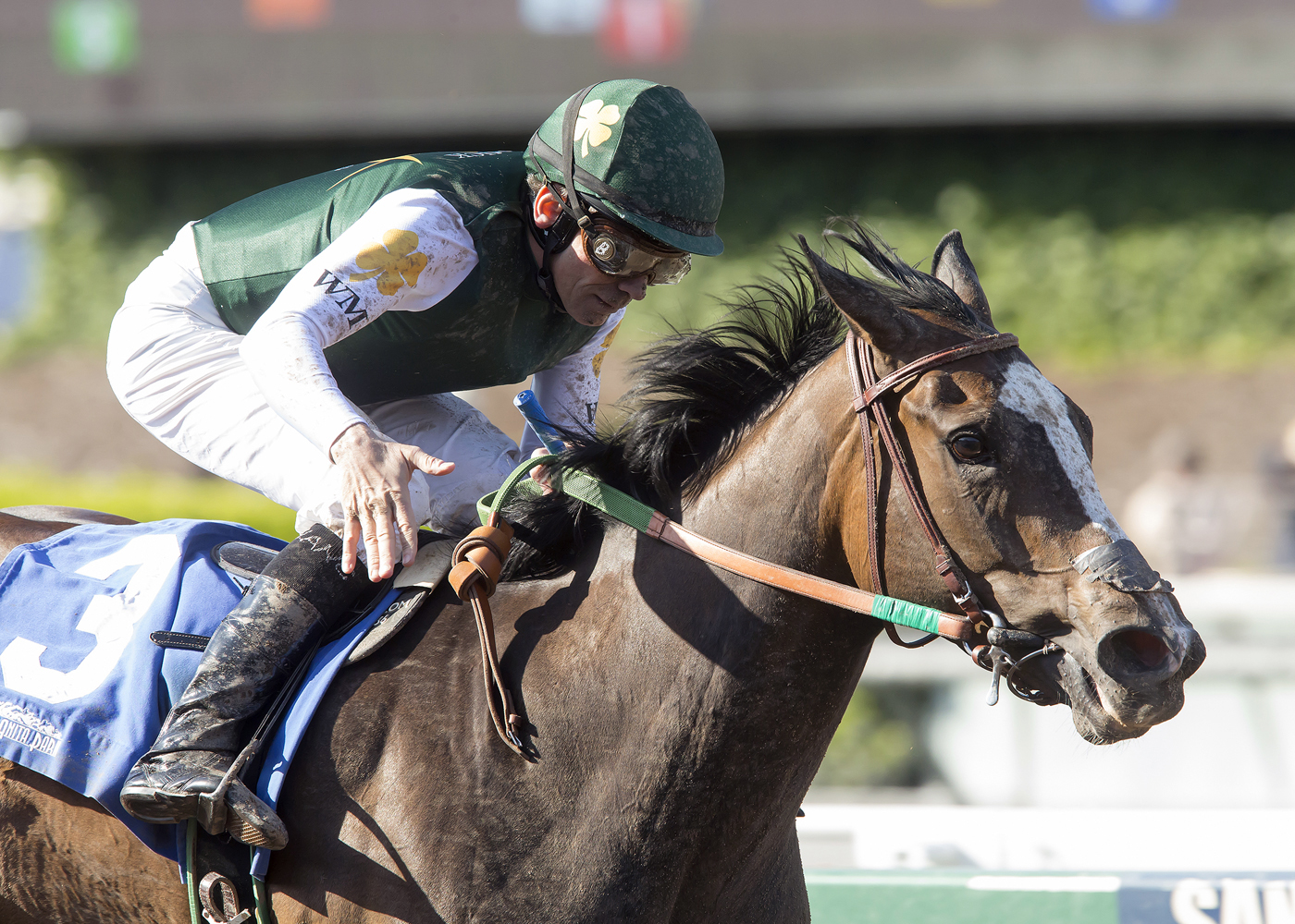 Union Strike wins the Santa Paula Stakes
