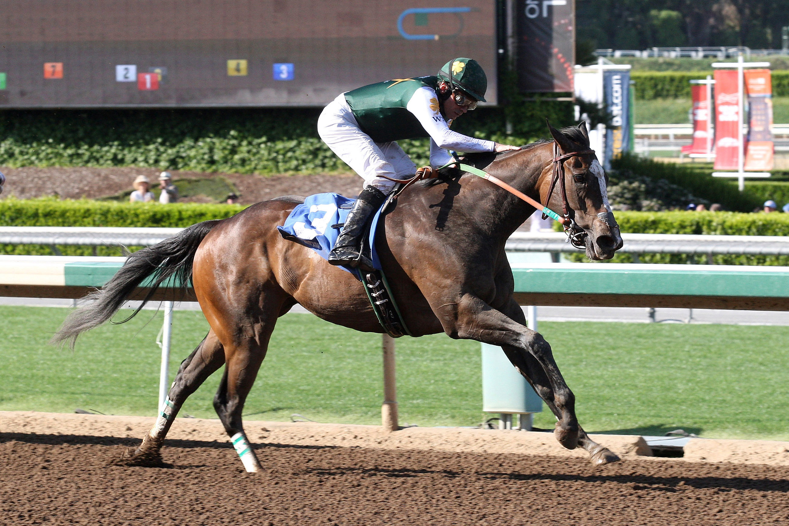 Union Strike wins the Santa Paula Stakes