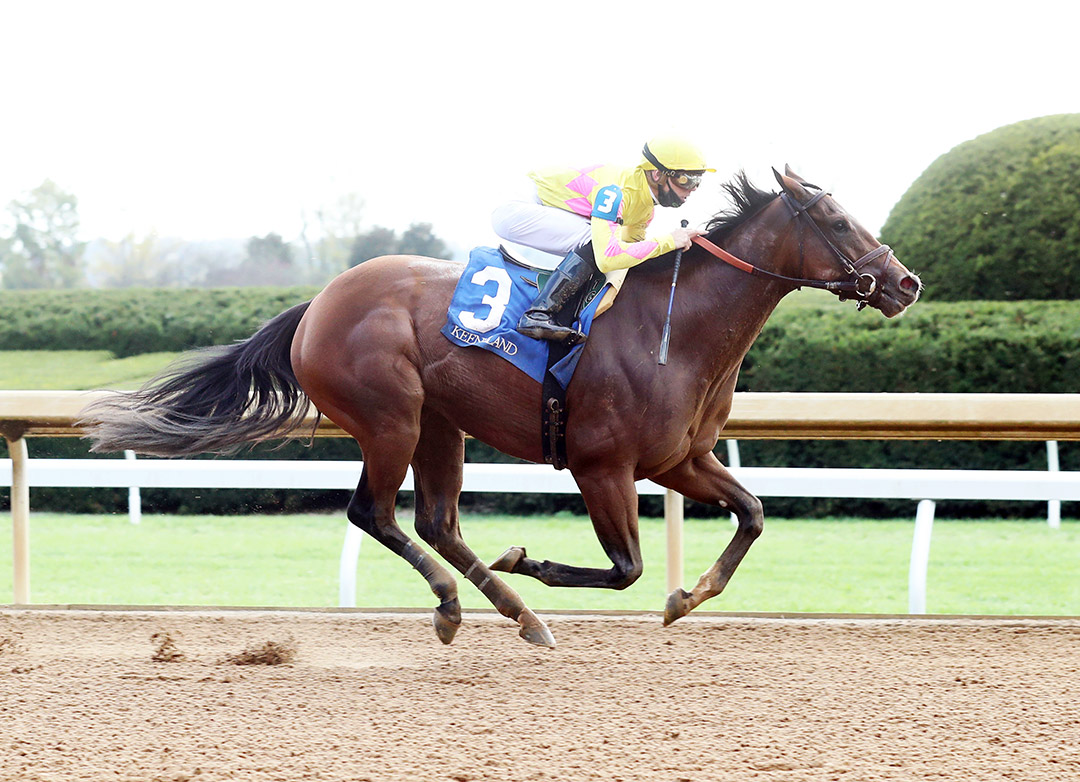 Union Maiden wins an October 2020 allowance at Keeneland