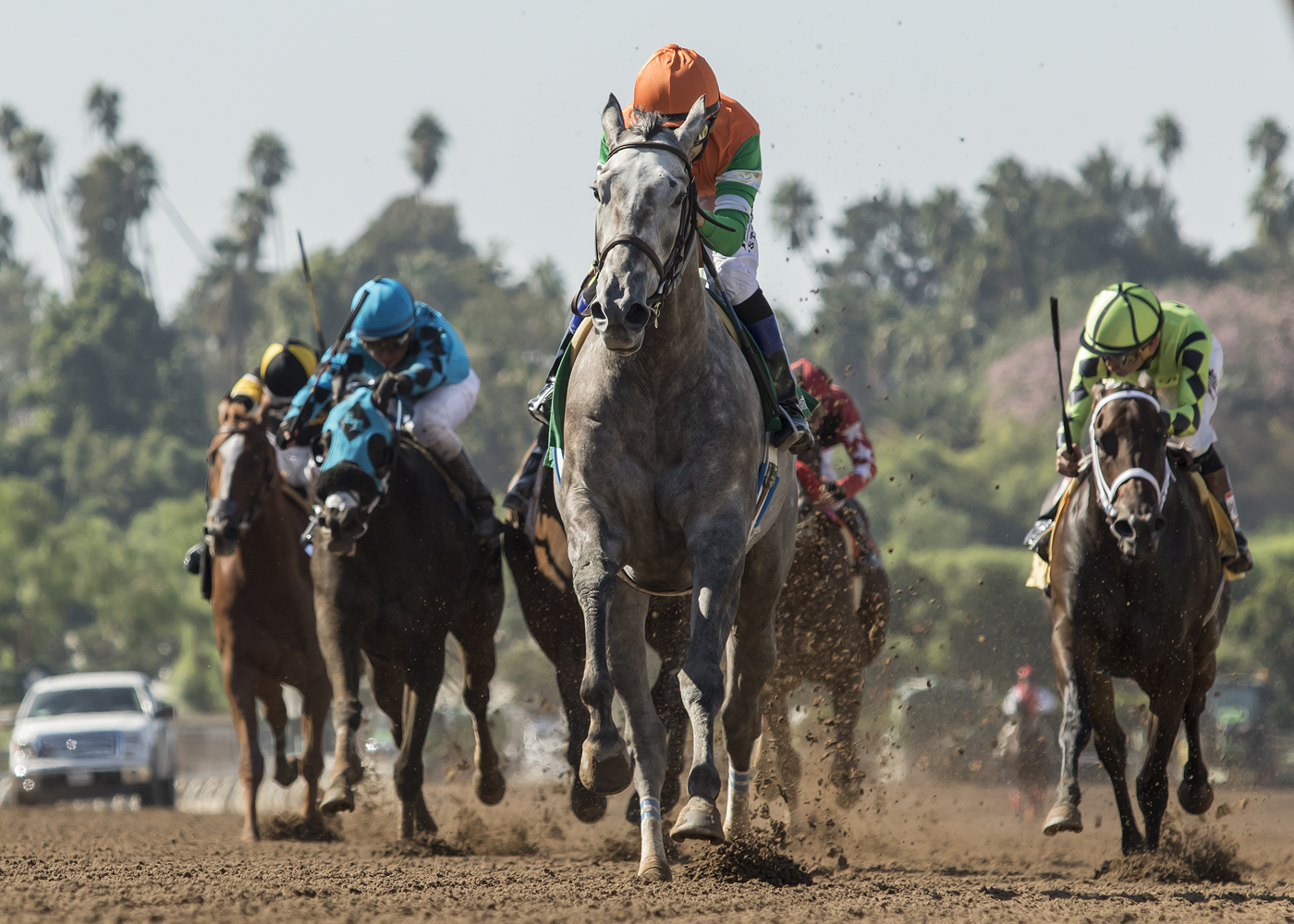 Unique Bella wins the 2017 L. A. Woman Stakes