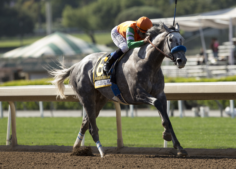 Unique Bella wins the 2018 Beholder Mile