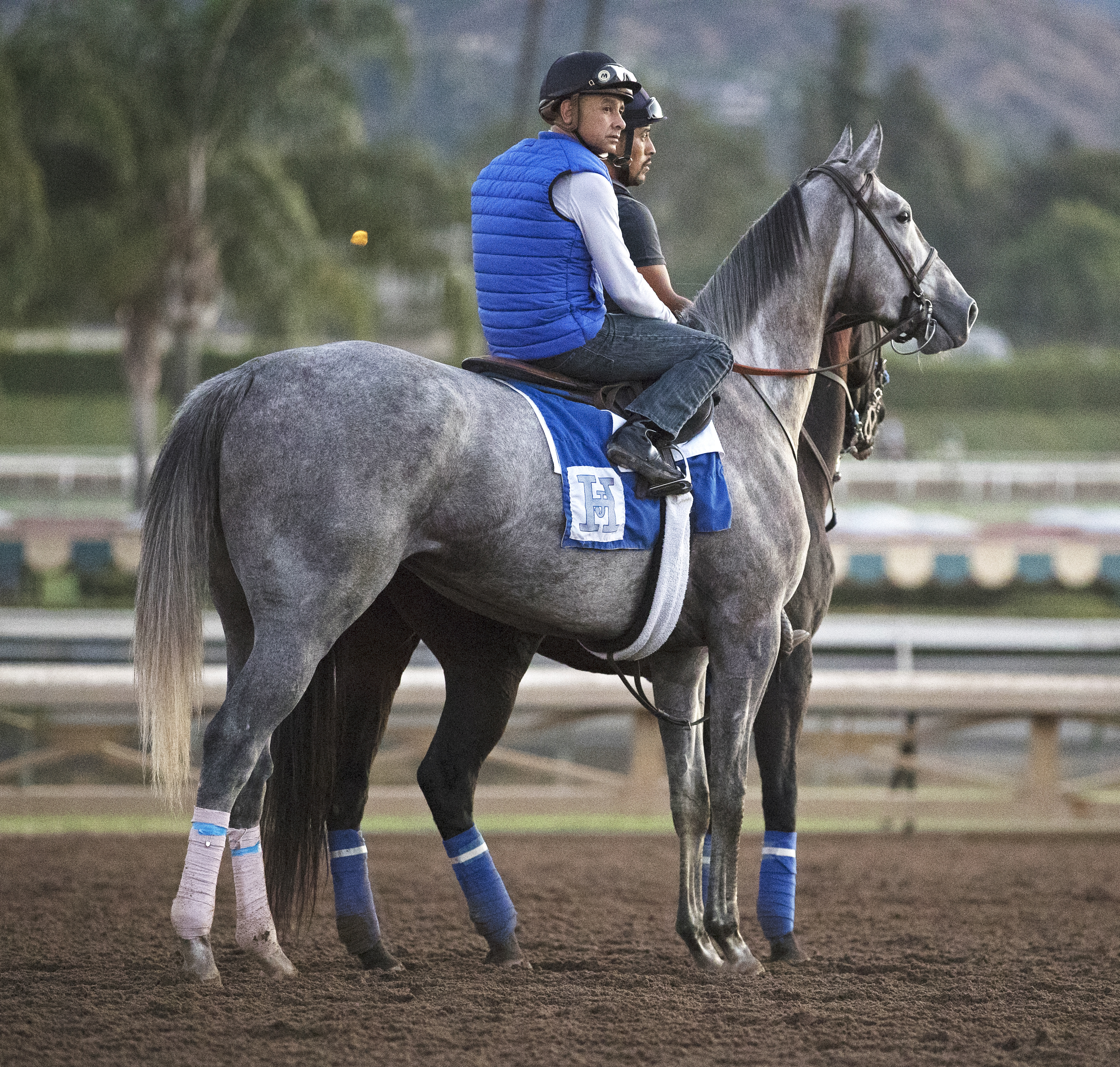 Unique Bella at Santa Anita on Oct. 25