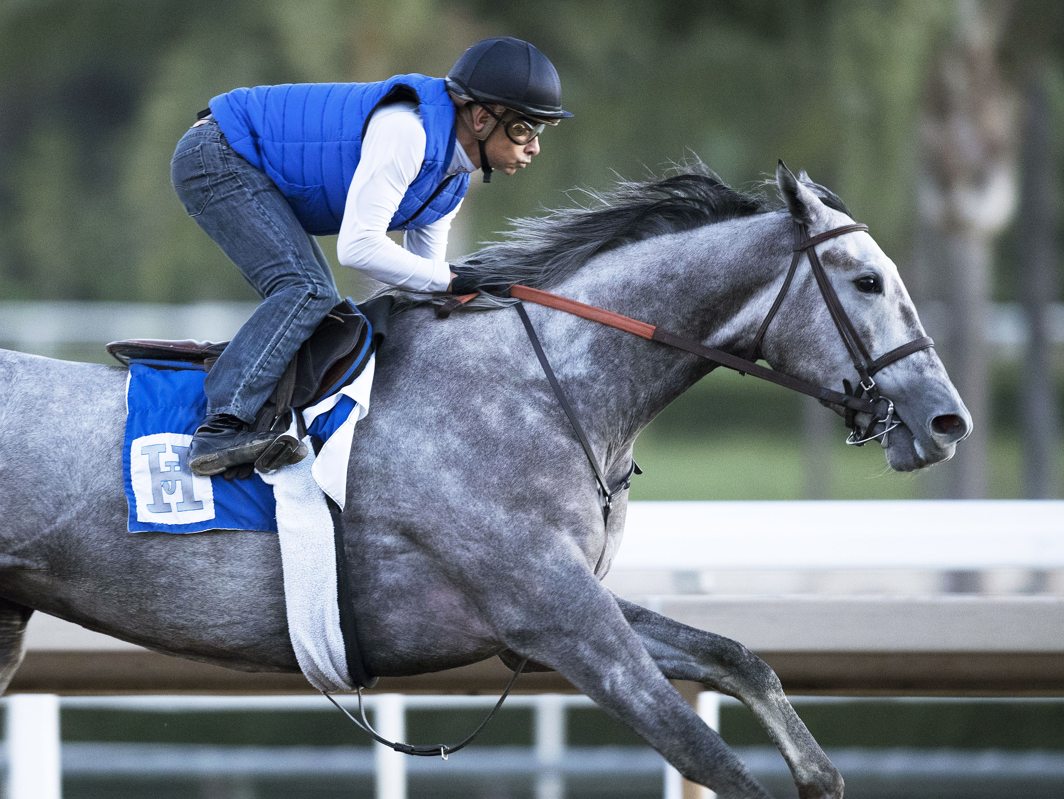 Unique Bella trains at Santa Anita on Oct. 25