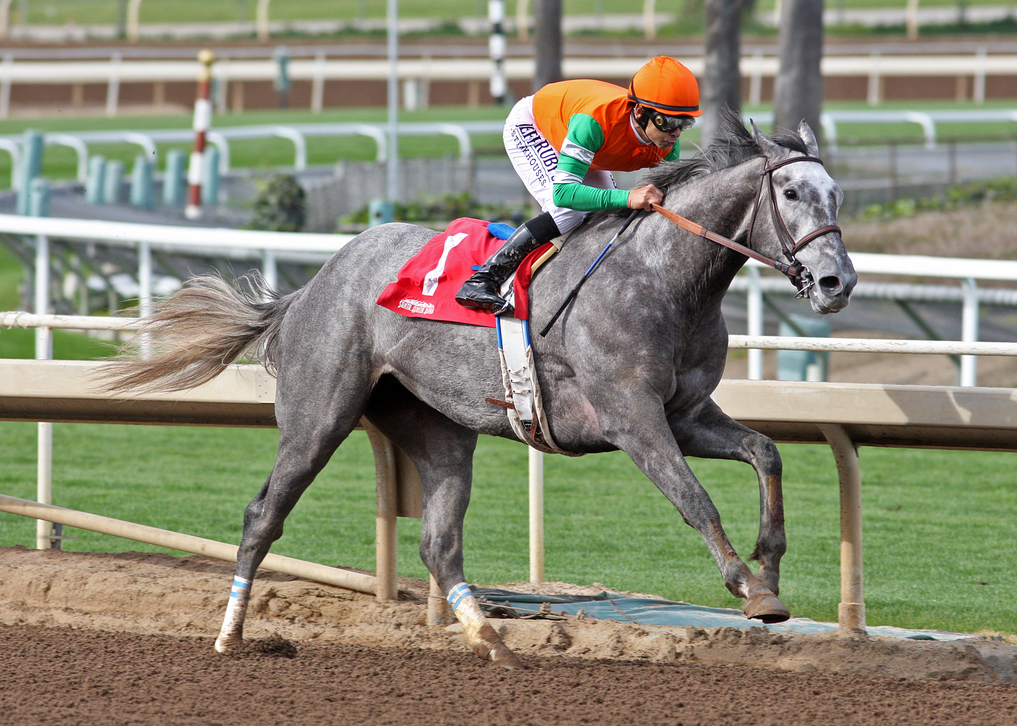 Unique Bella wins the Santa Ysabel
