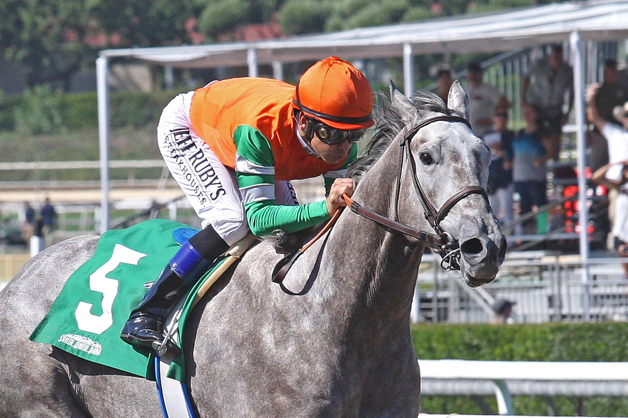 Unique Bella wins the 2017 L. A. Woman Stakes