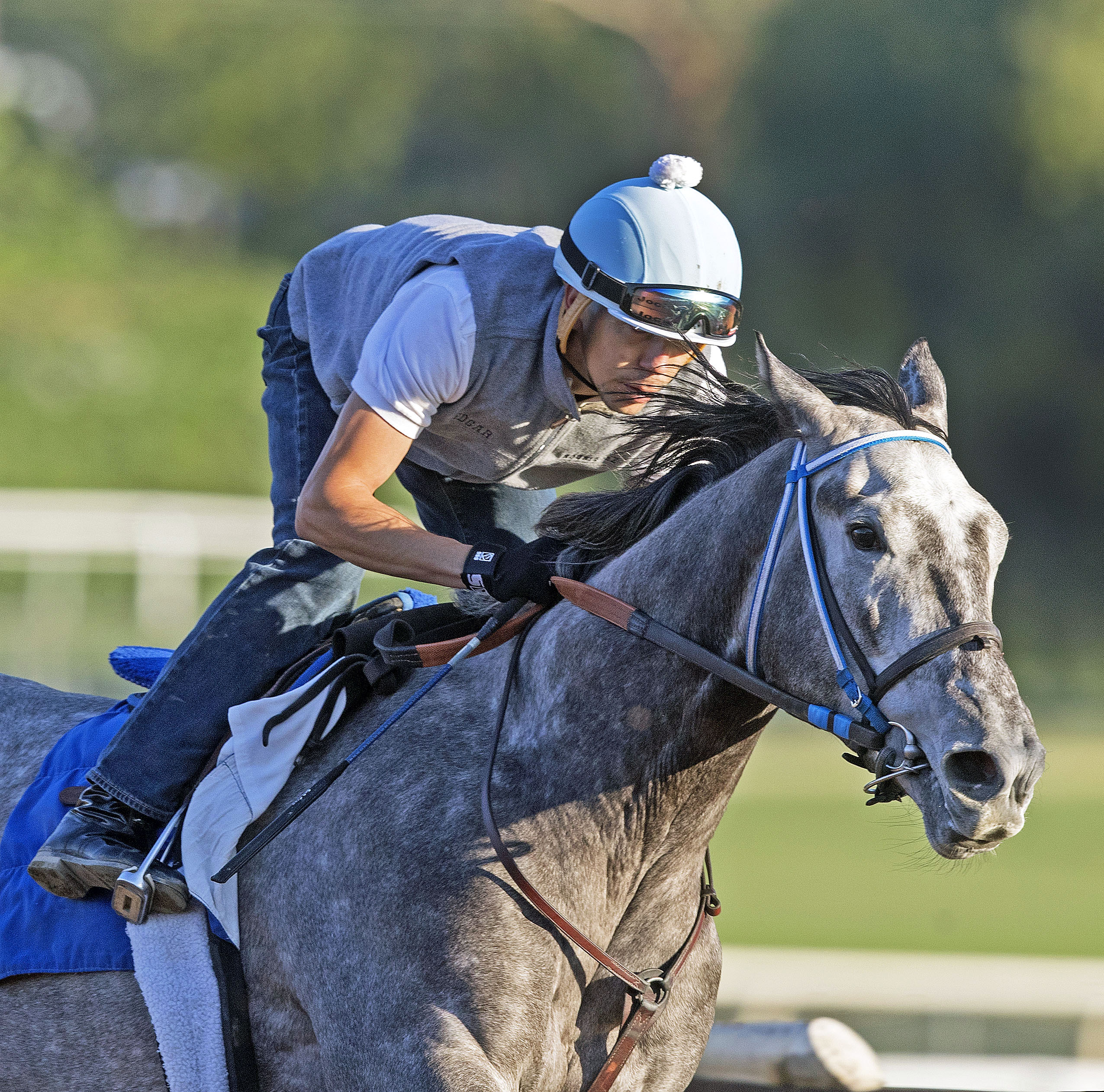 Unique Bella trains at Santa Anita on March 19