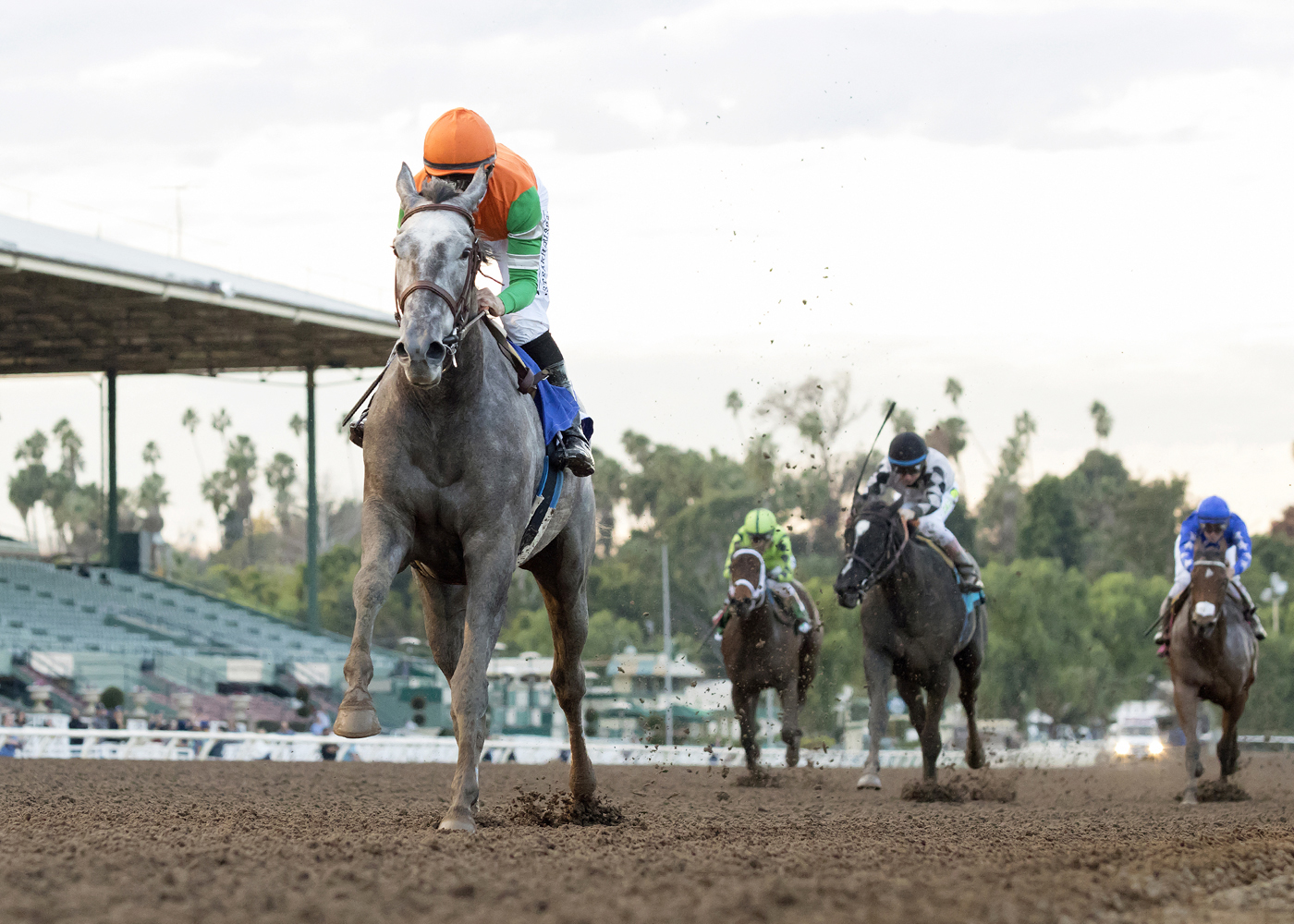 Unique Bella wins the Santa Ynez