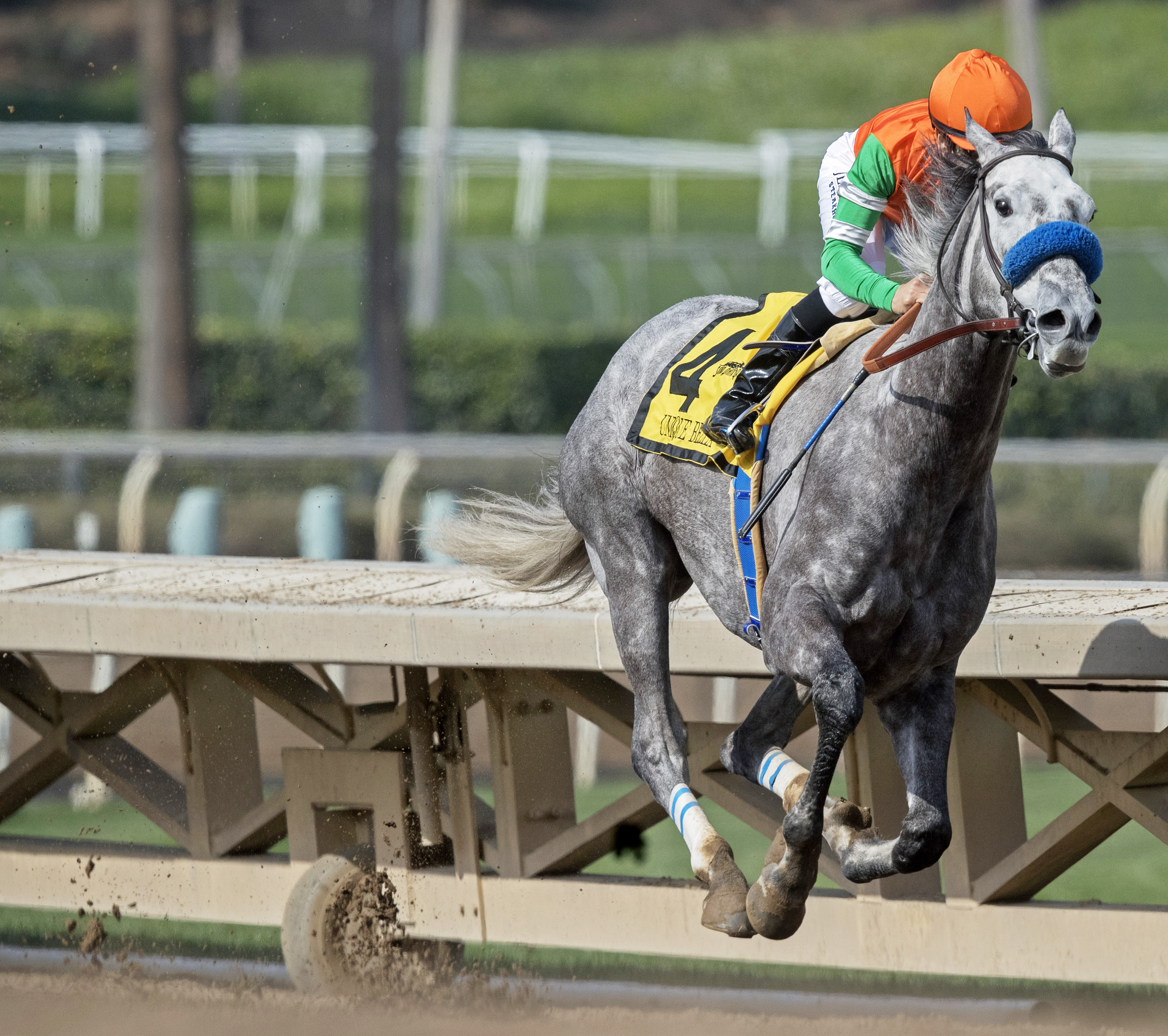 Unique Bella wins the 2018 Santa Maria Stakes