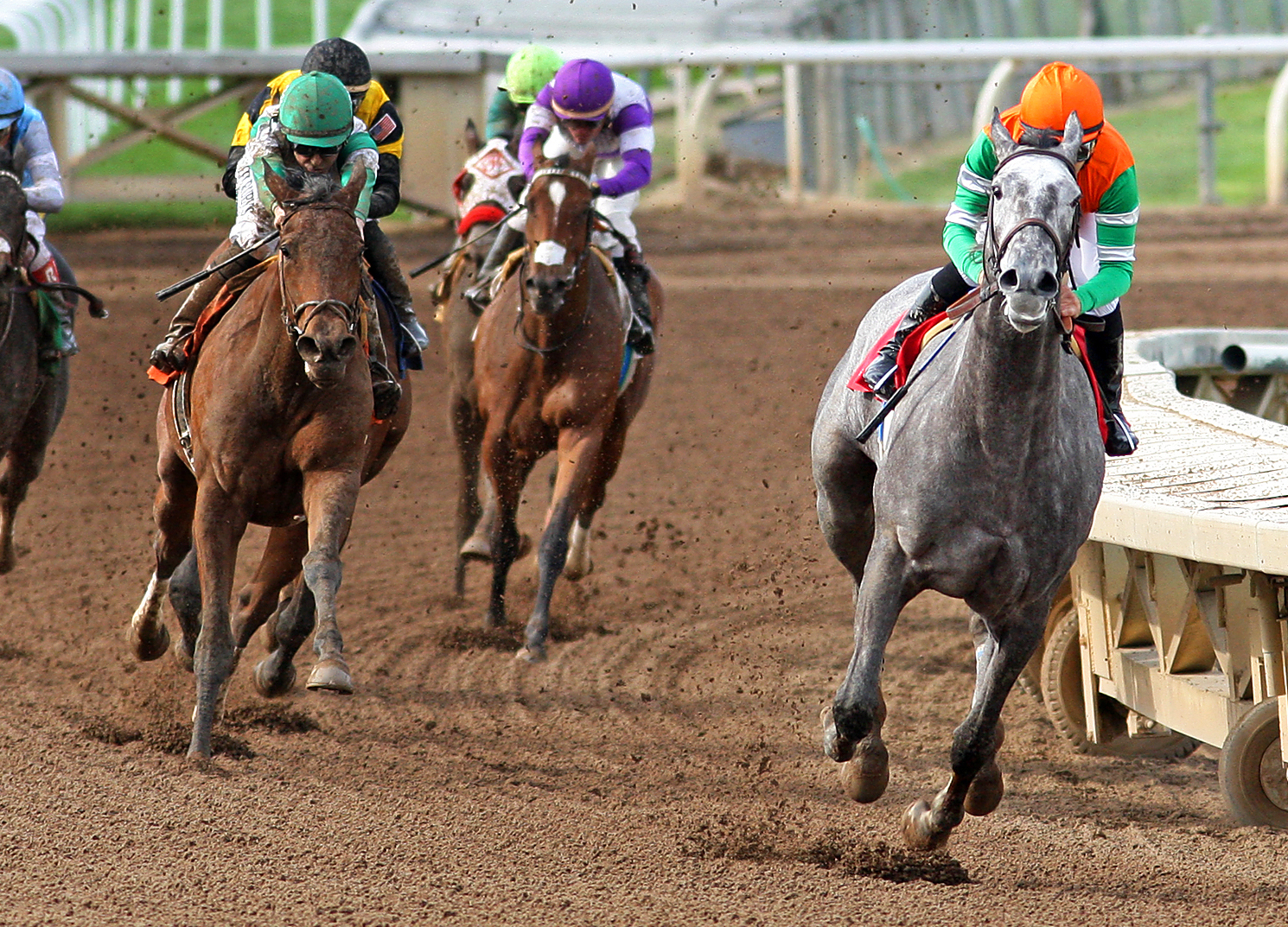 Abel Tasman finishes second in the Santa Ysabel