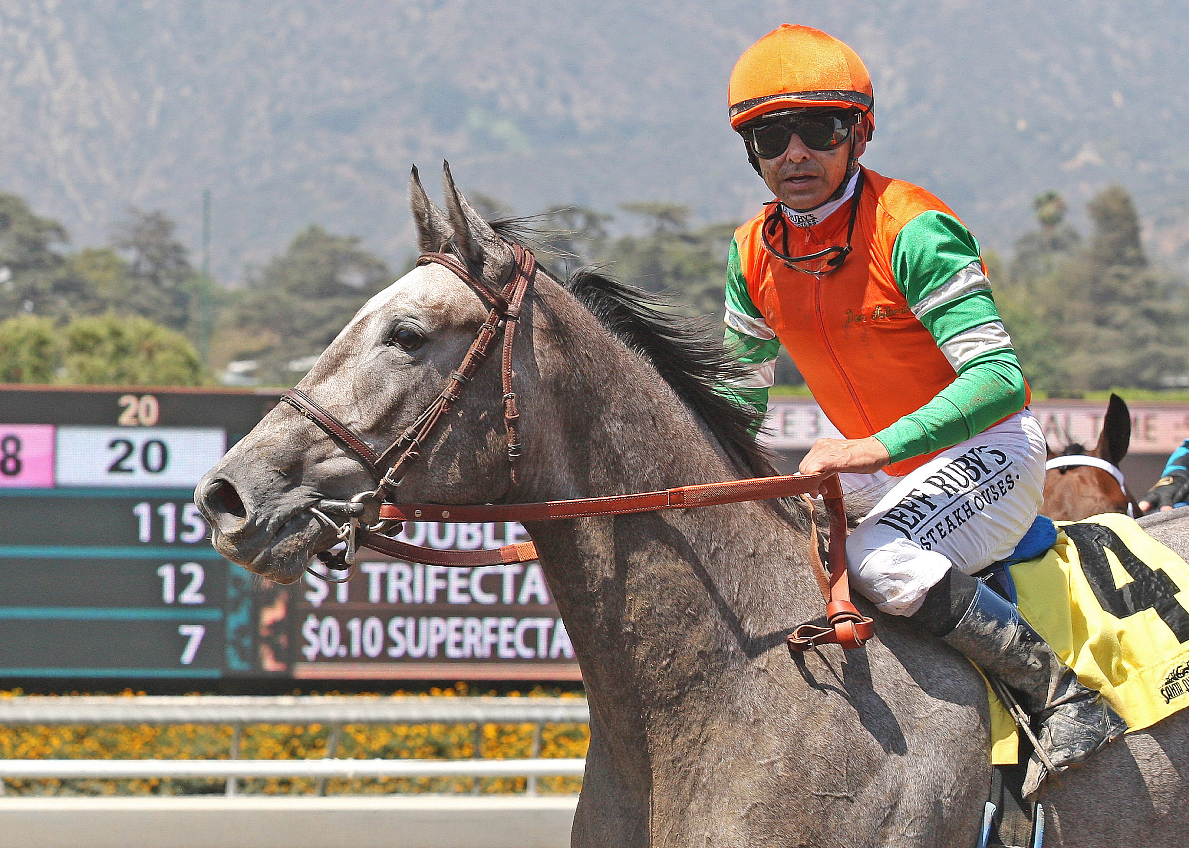 Unique Bella at Santa Anita on June 23