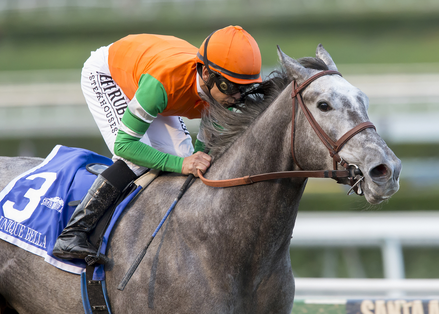 Unique Bella wins the Santa Ynez