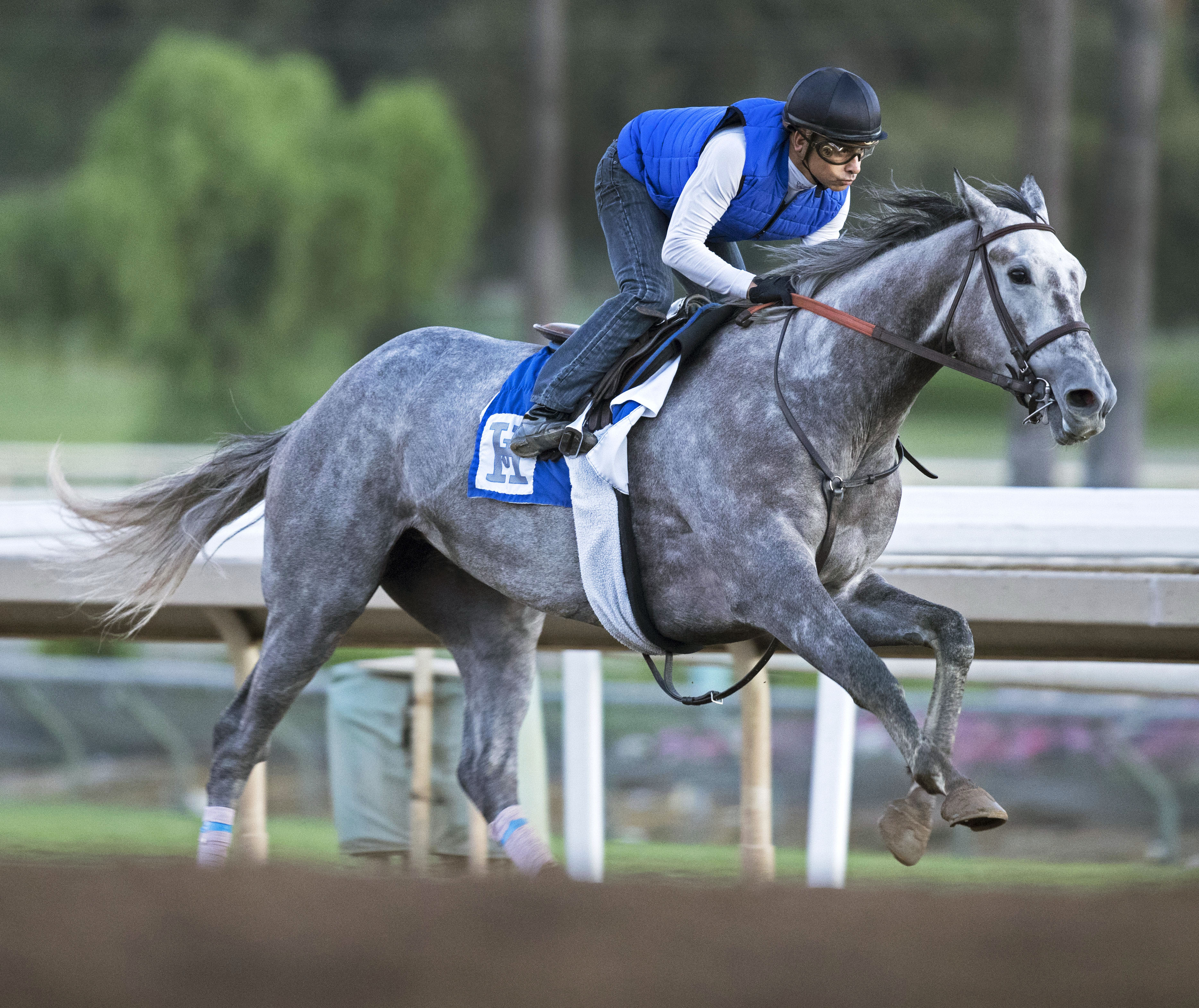 Unique Bella trains at Santa Anita on Oct. 25