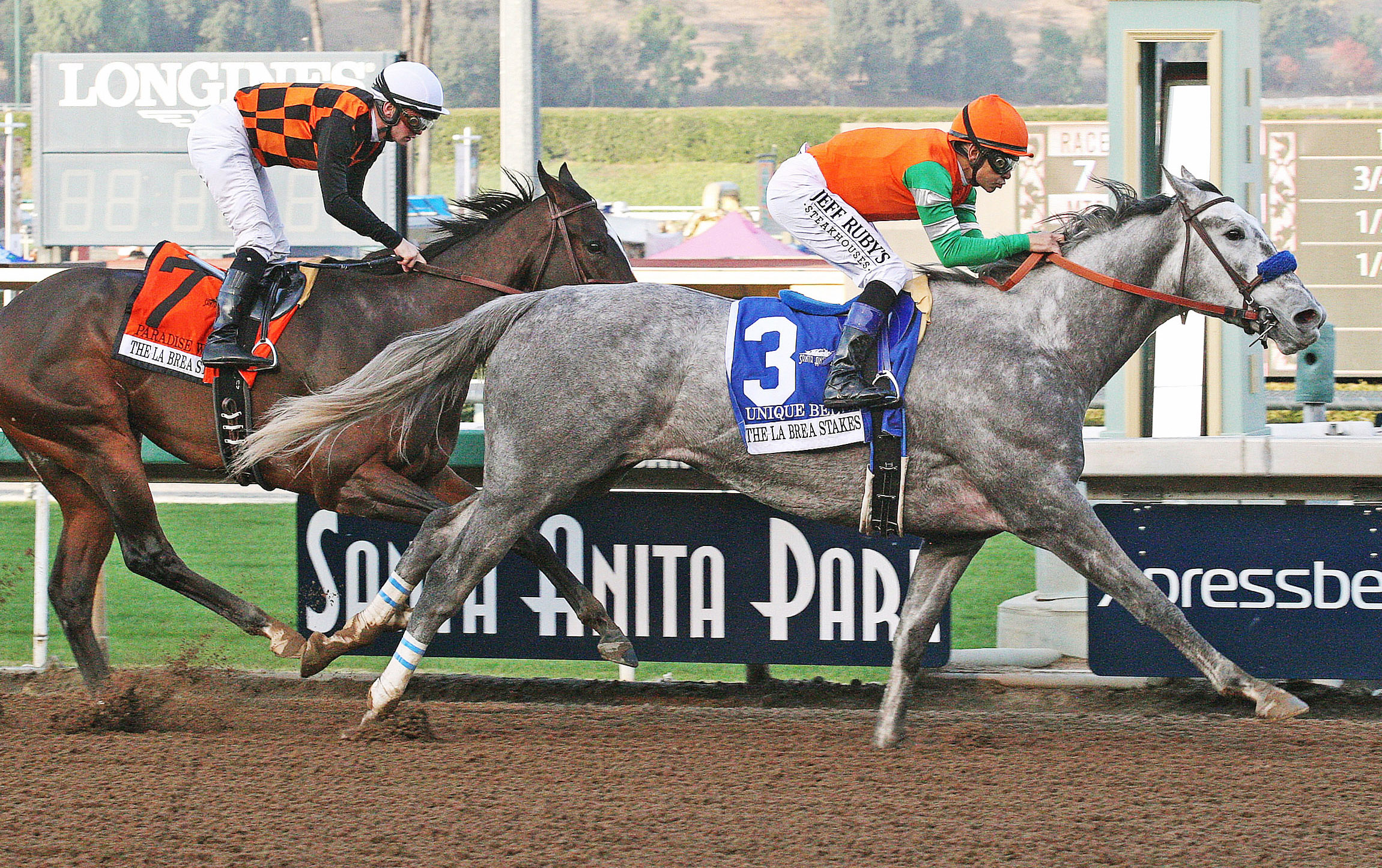Paradise Woods finishes second in the La Brea Stakes