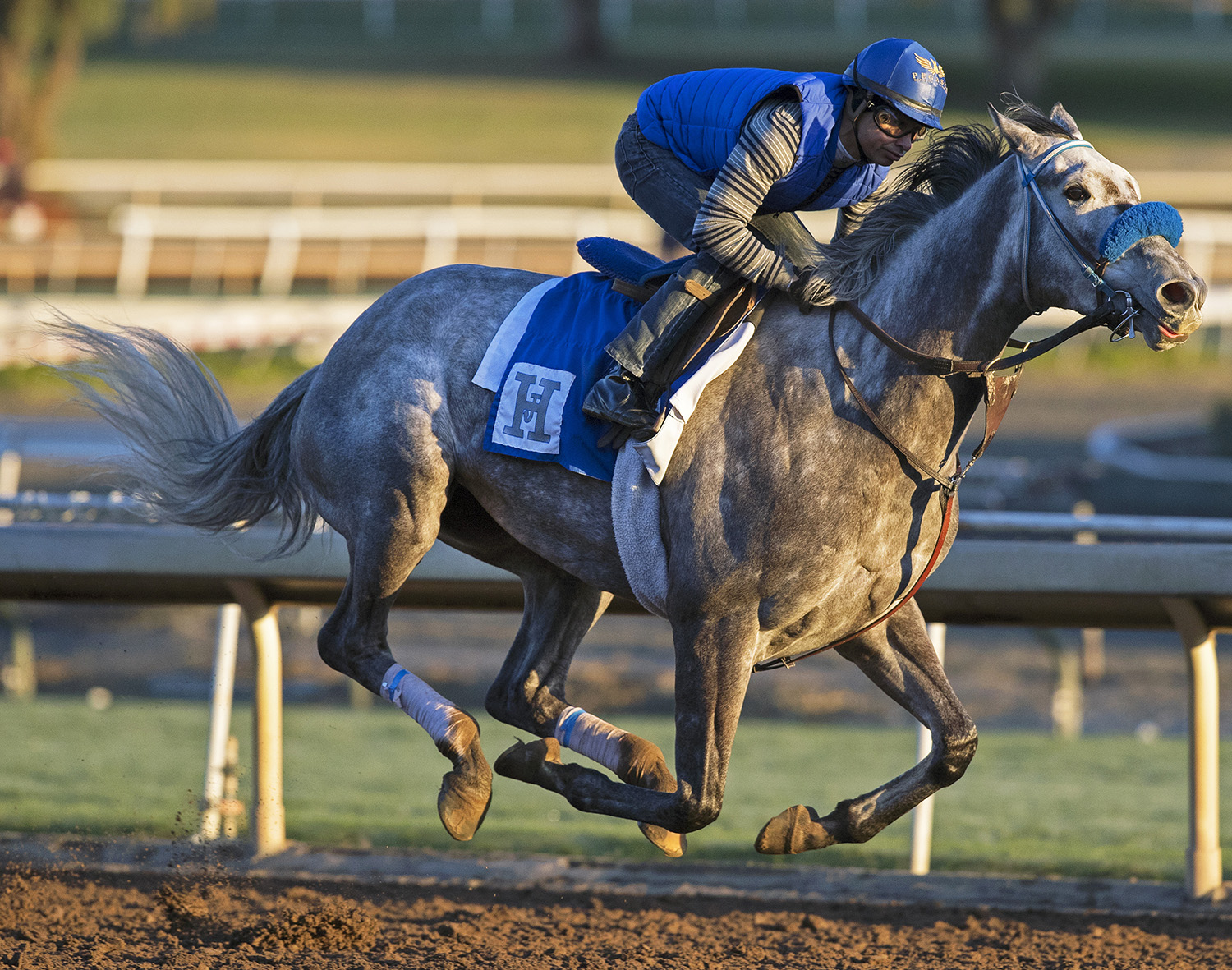 Unique Bella trains at Santa Anita on Feb. 25