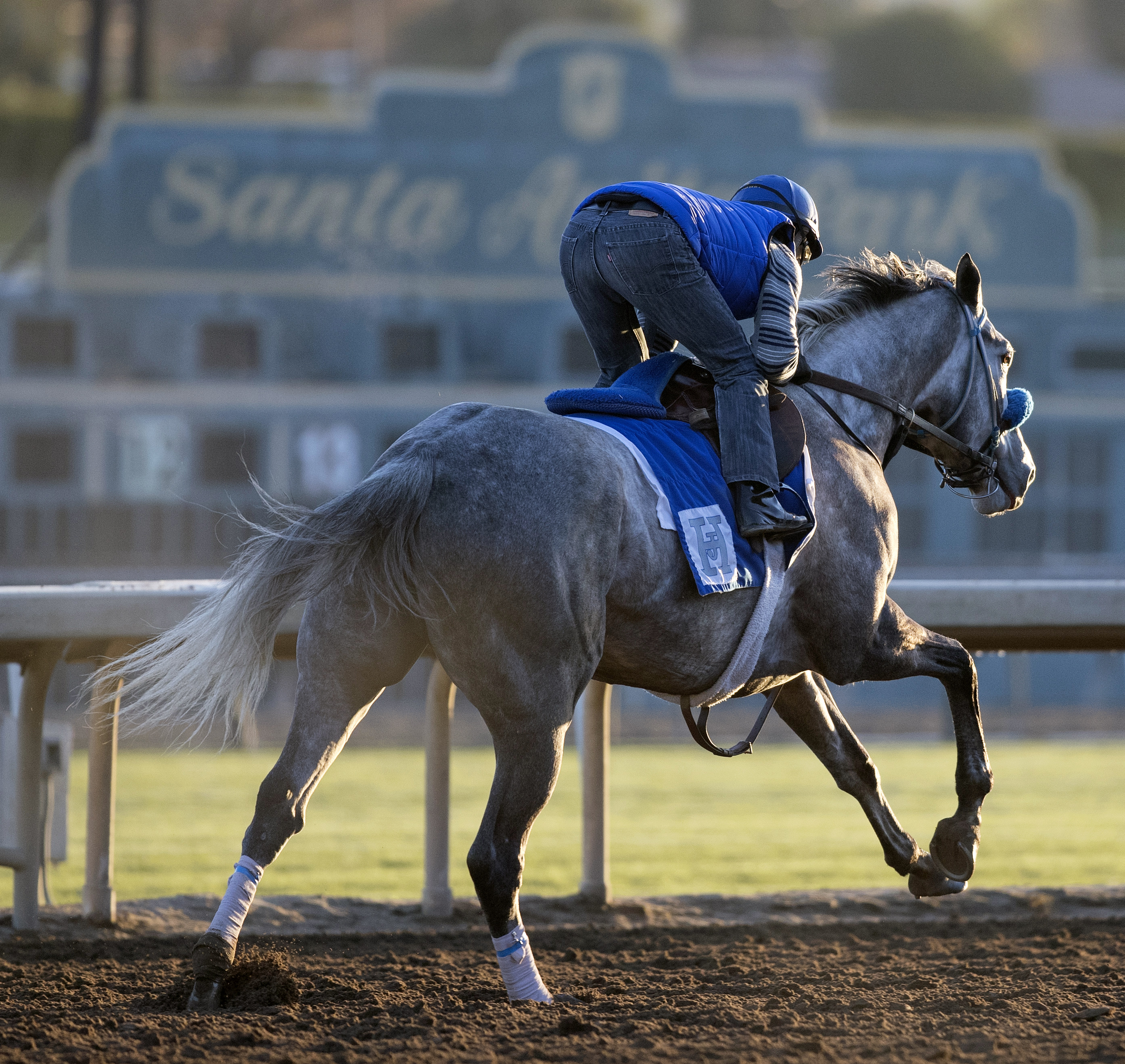Unique Bella trains at Santa Anita on Feb. 25