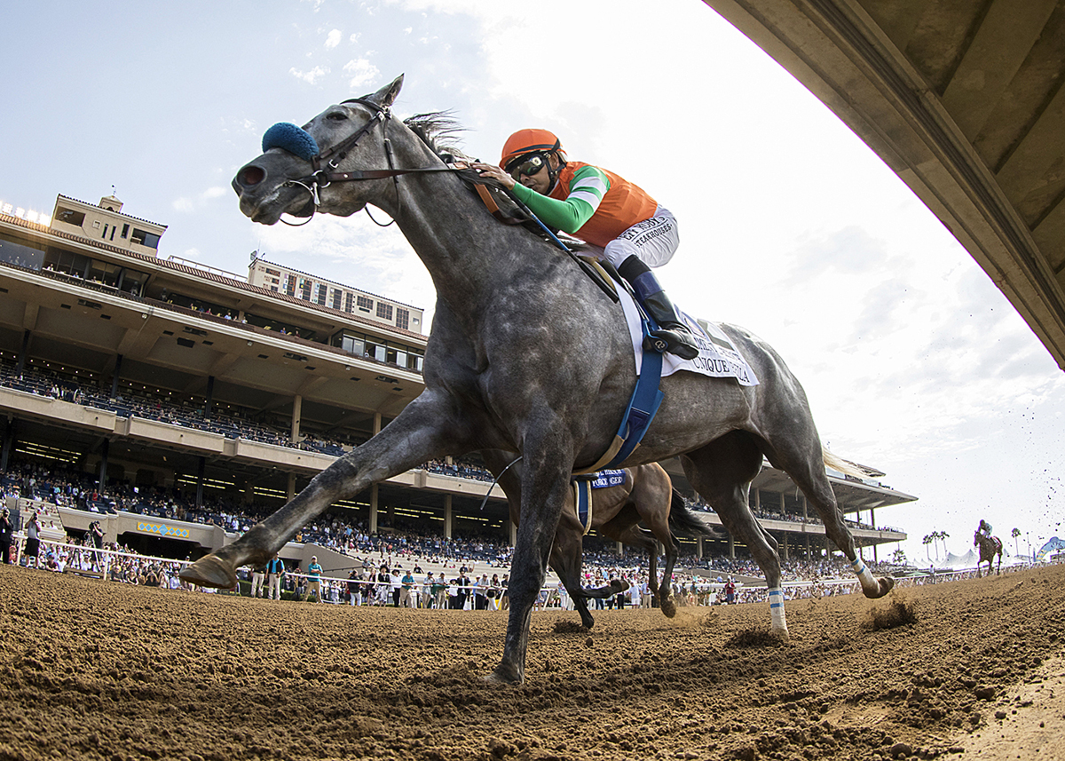 Unique Bella wins the 2018 Clement Hirsch Stakes