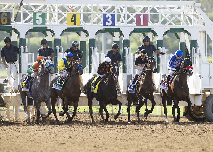 Santa Anita dirt race start