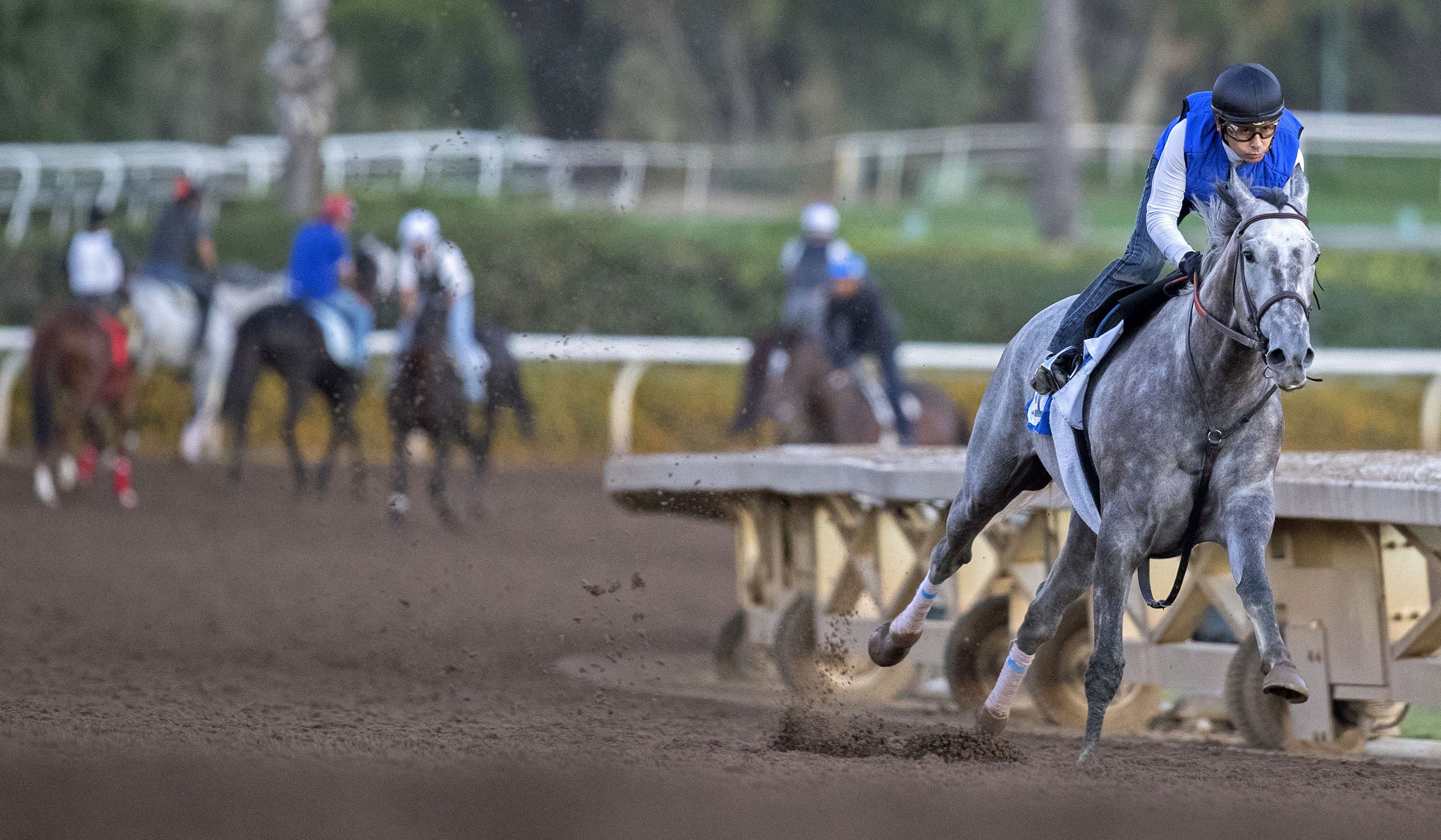 Unique Bella trains at Santa Anita on Oct. 25