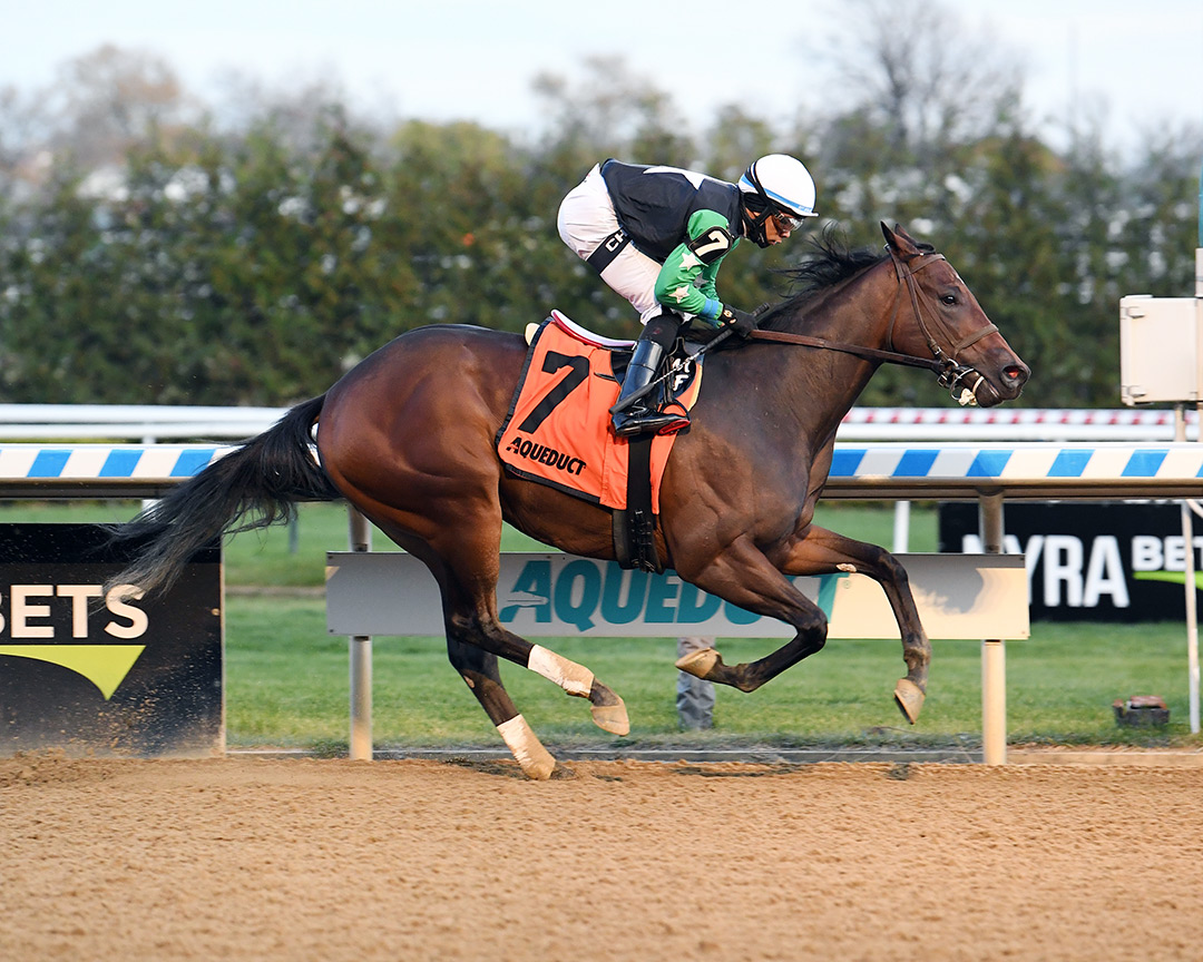 Unique Unions wins a Nov. 20 maiden at Aqueduct