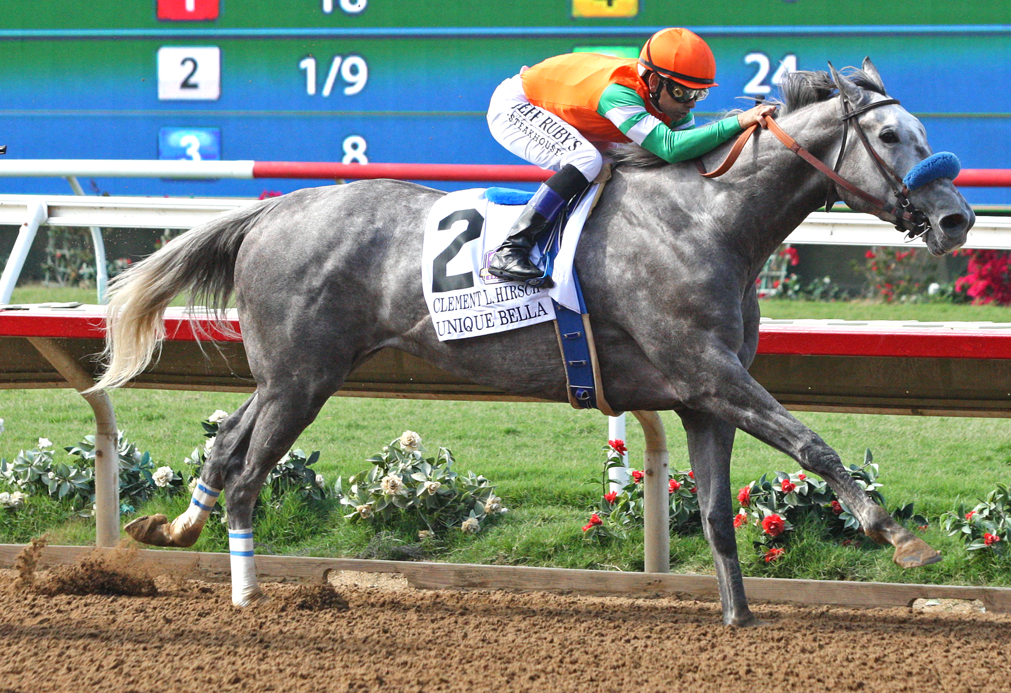 Unique Bella wins 2018 Clement Hirsch