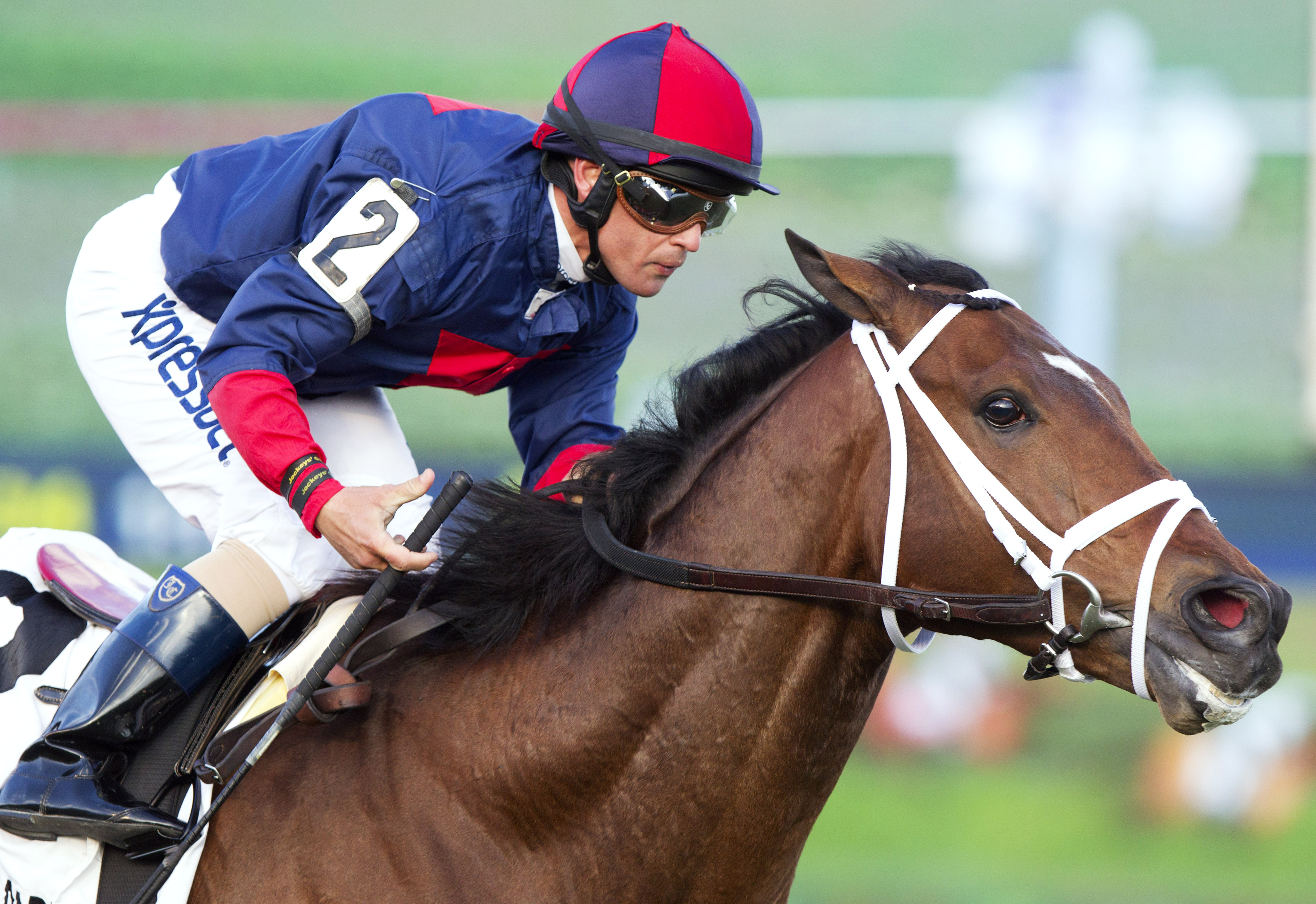 Unitarian wins the H. Allen Jerkens Stakes