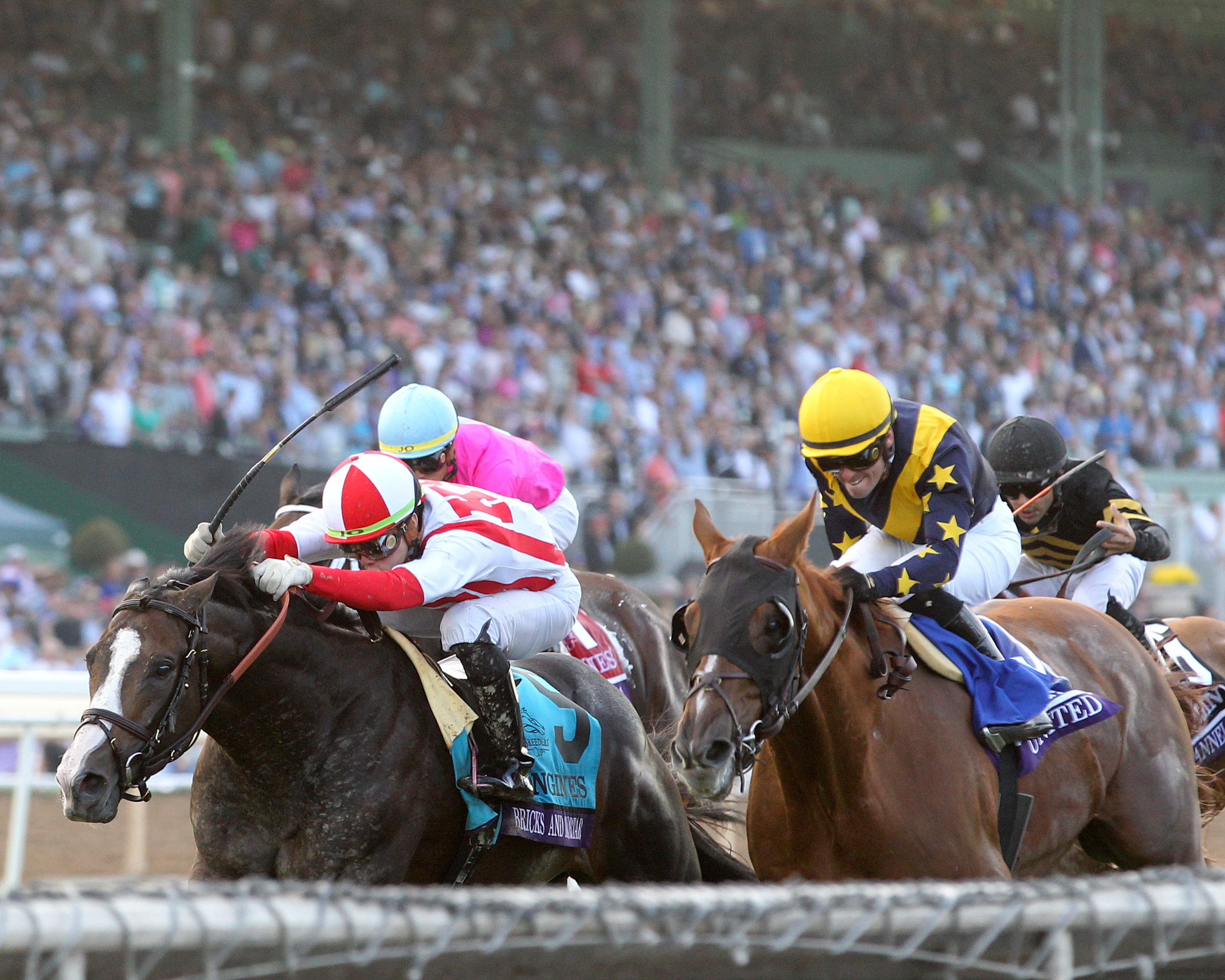 United (right) finishes second to Bricks and Mortar in the 2019 BC Turf