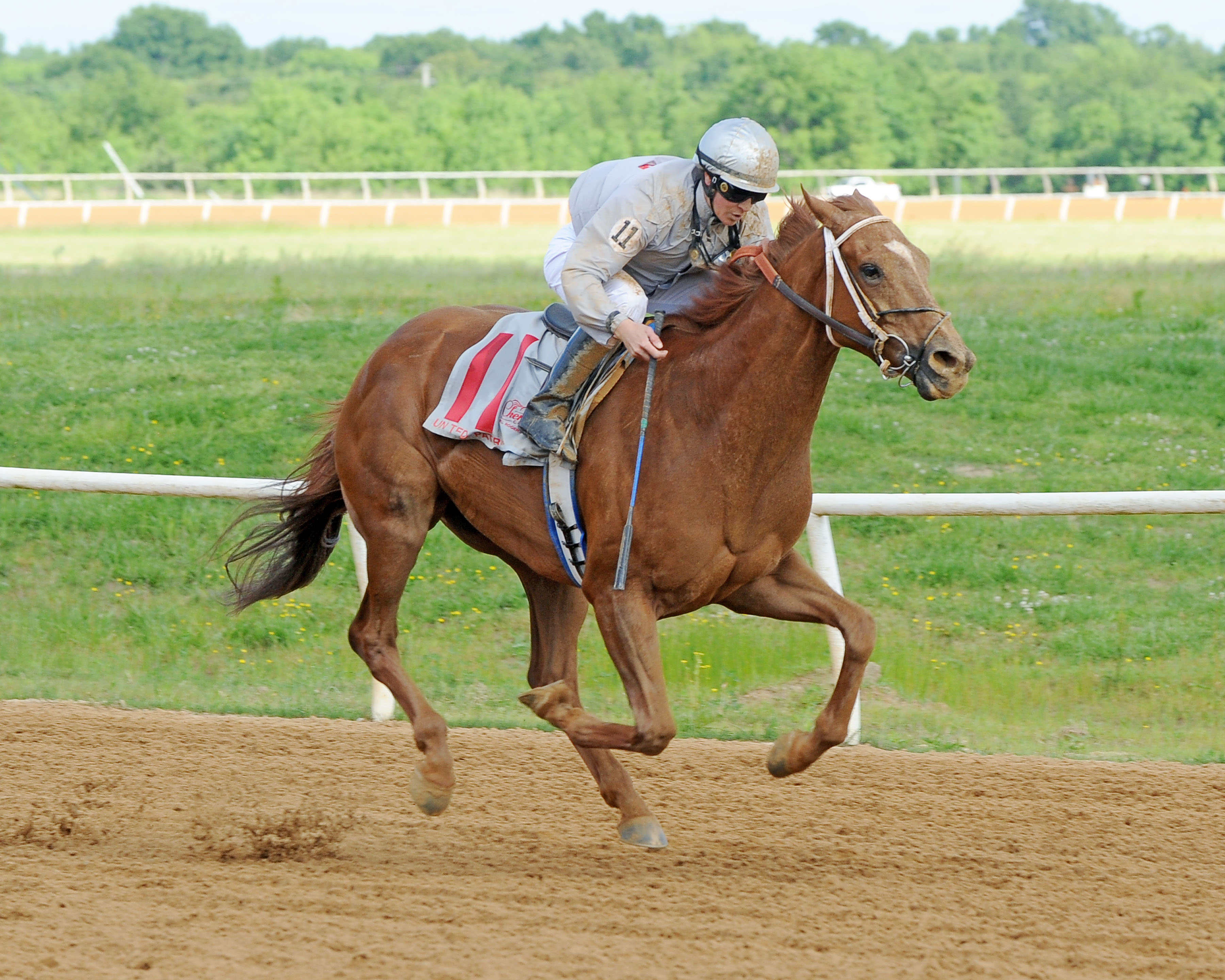 United Patriot/Cherokee Nation Classic Cup