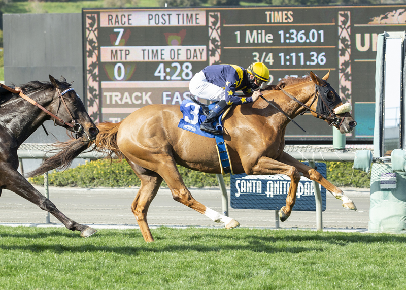 United wins San Luis Rey Stakes 3-20-2021