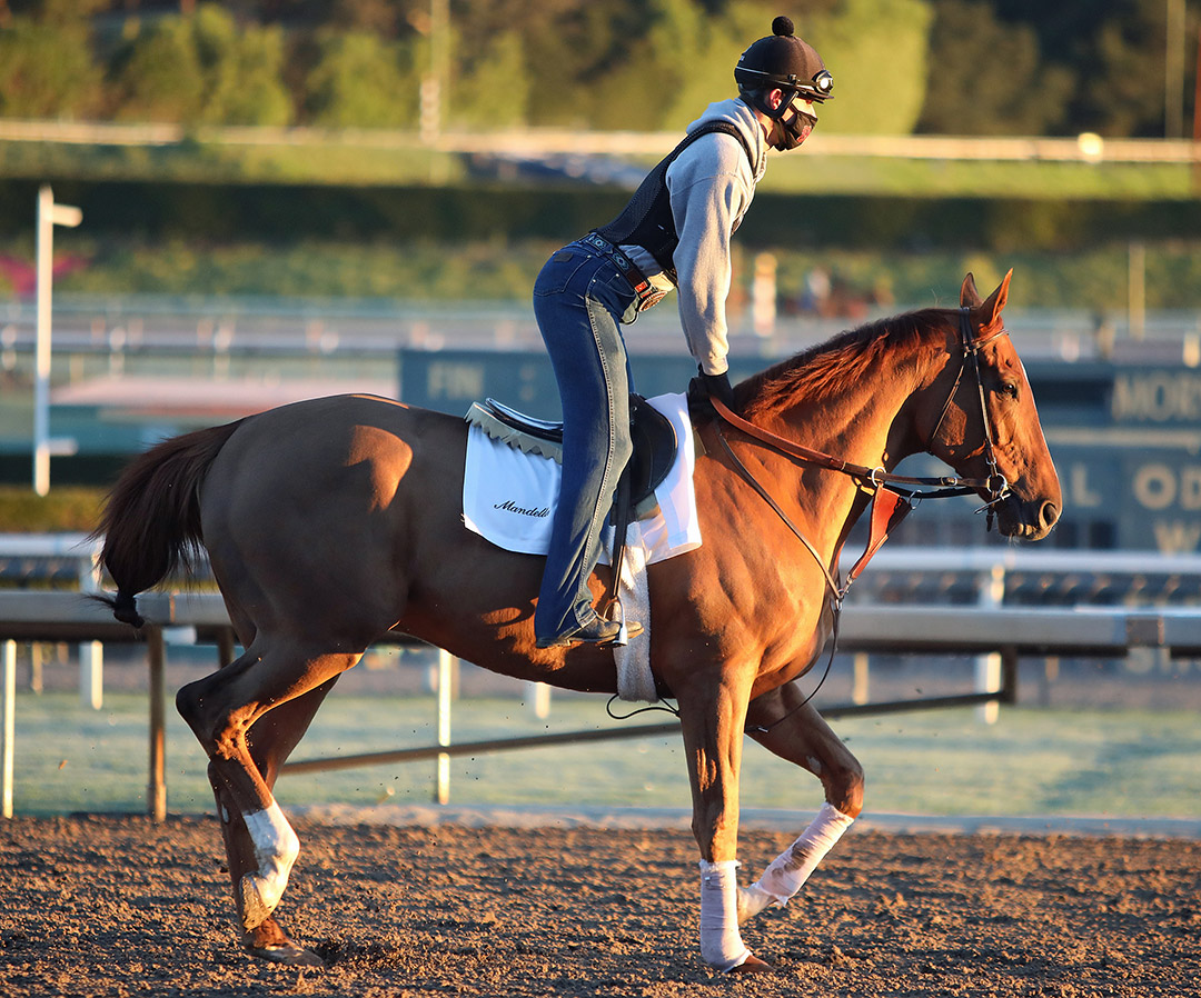 United trains at Santa Anita Park on Jan. 30