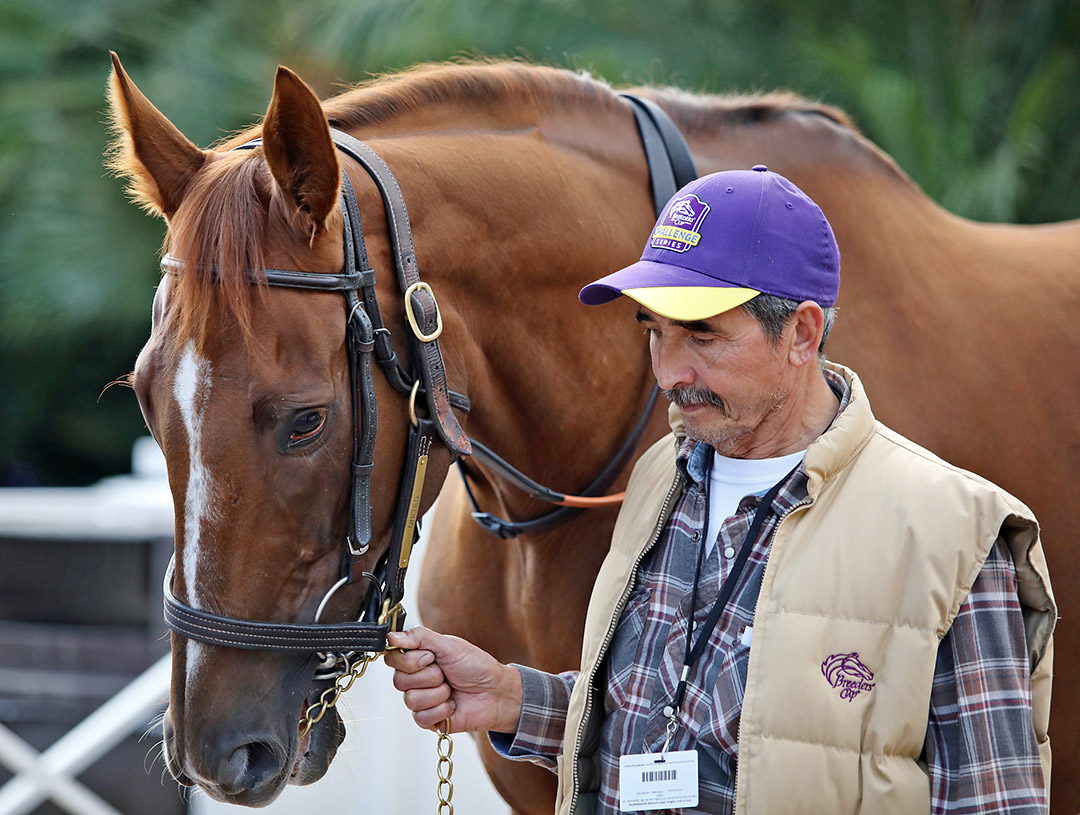 United at Del Mar on Nov. 3