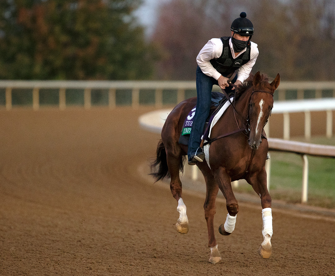 United trains for the Breeders' Cup Turf at Keeneland Racecourse on Nov. 5