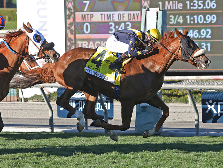 United wins the 2020 San Marcos Stakes at Santa Anita Park