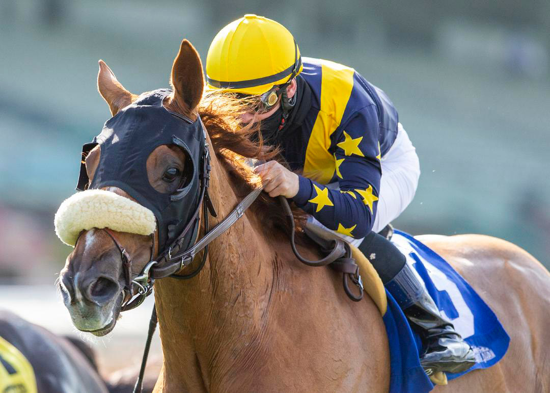 United wins the 2021 San Luis Rey Stakes at Santa Anita Park