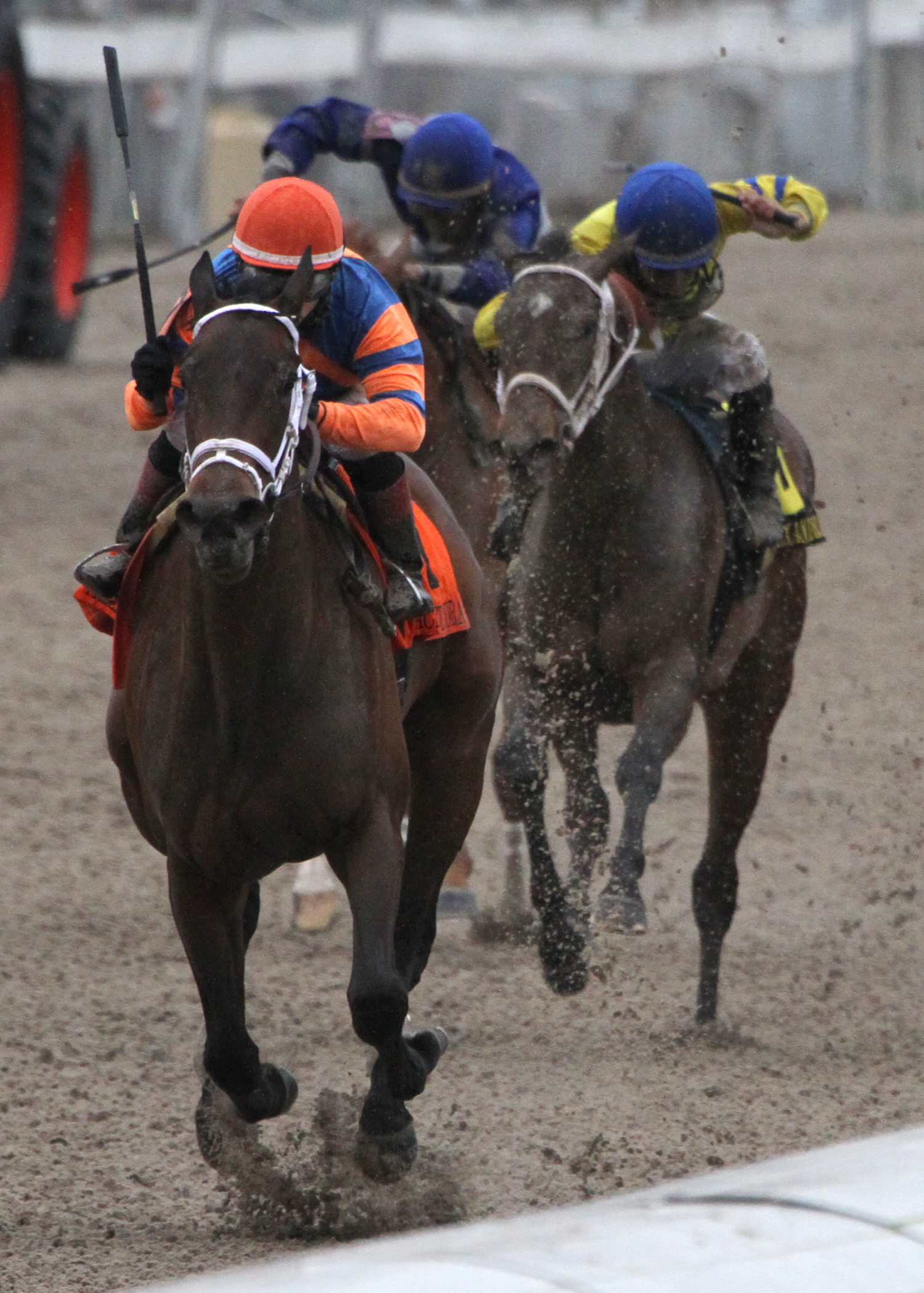 Unlimited Budget, Rachel Alexandra Stakes