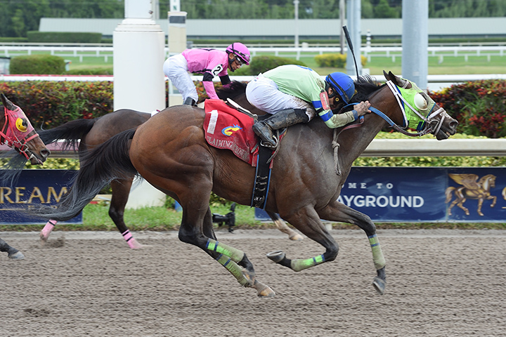 Uno Mas Modelo wins the 2018 Claiming Crown Rapid Transit