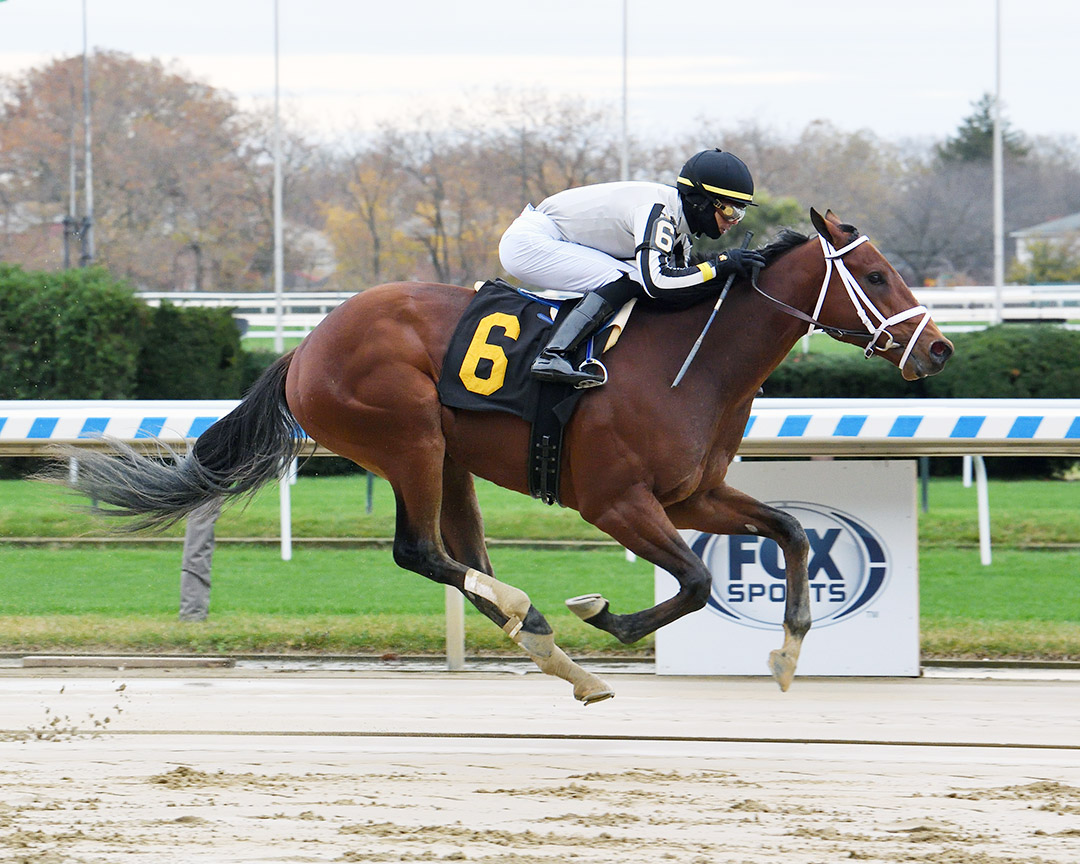 Uno wins a Nov. 12 maiden race at Aqueduct Racetrack