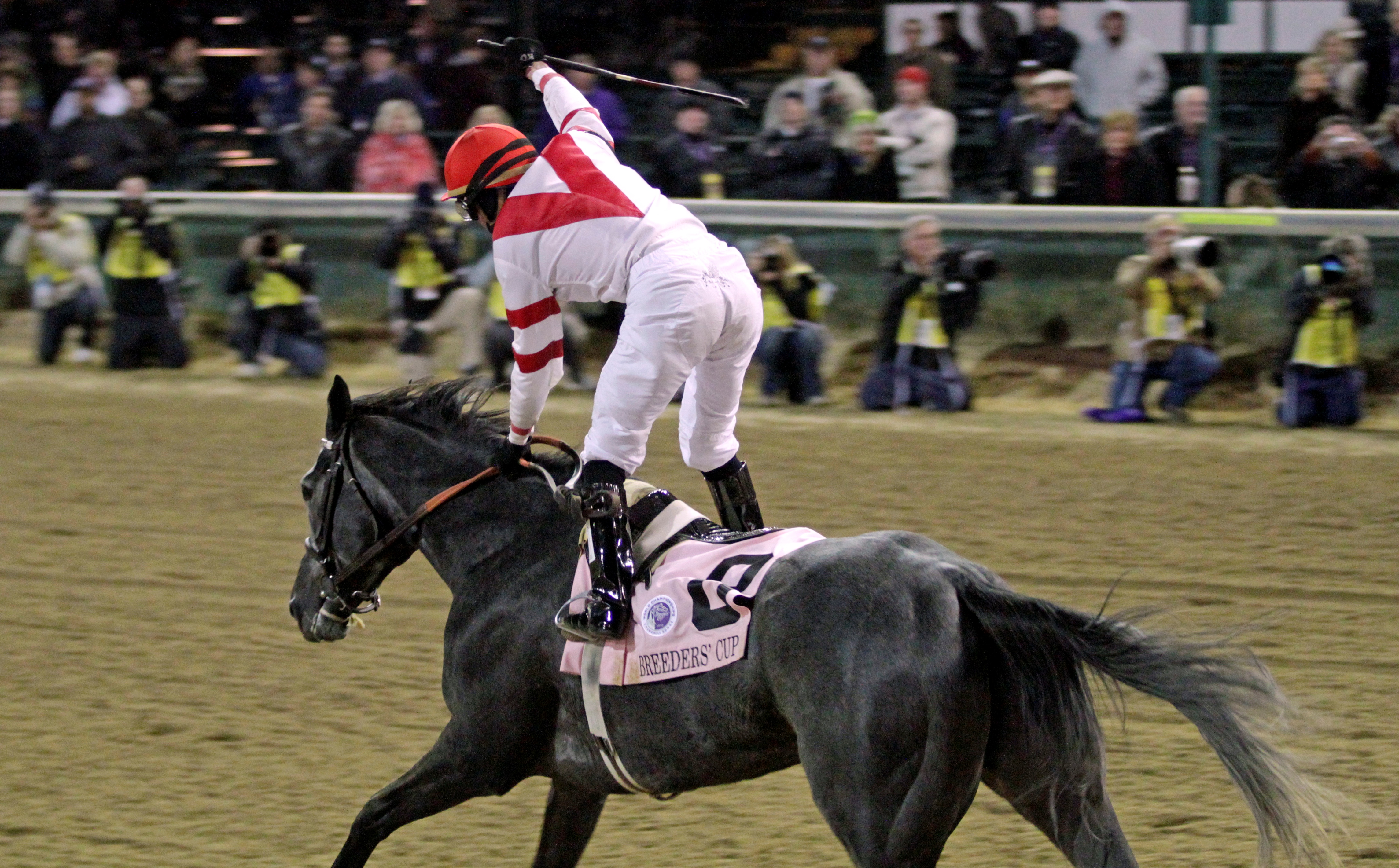 Unrivaled Belle 11-5-2010
