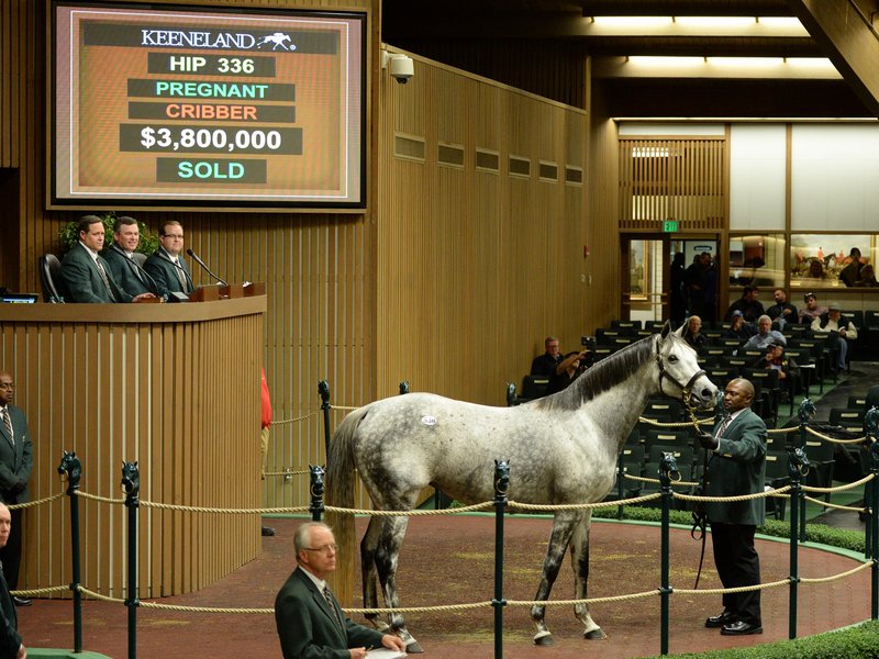 UnrivaledBelleKeeNov