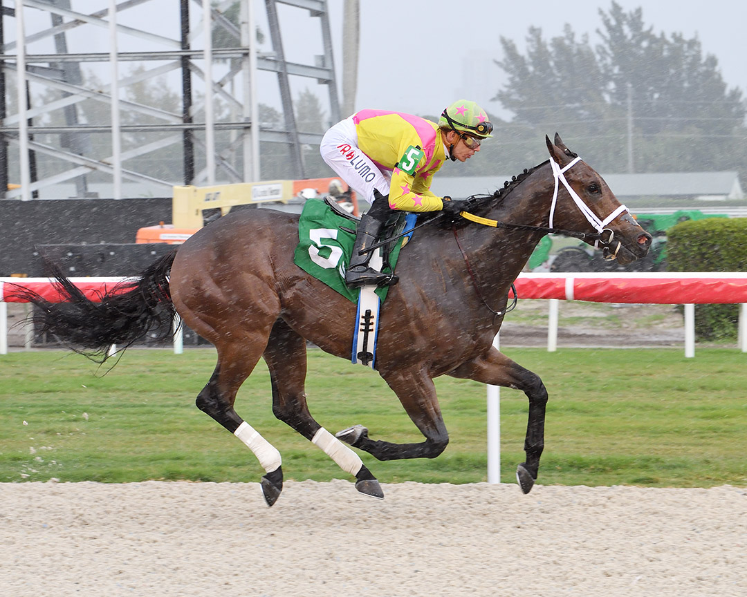 Unsociable wins a Jan. 5 maiden optional claiming race at Gulfstream