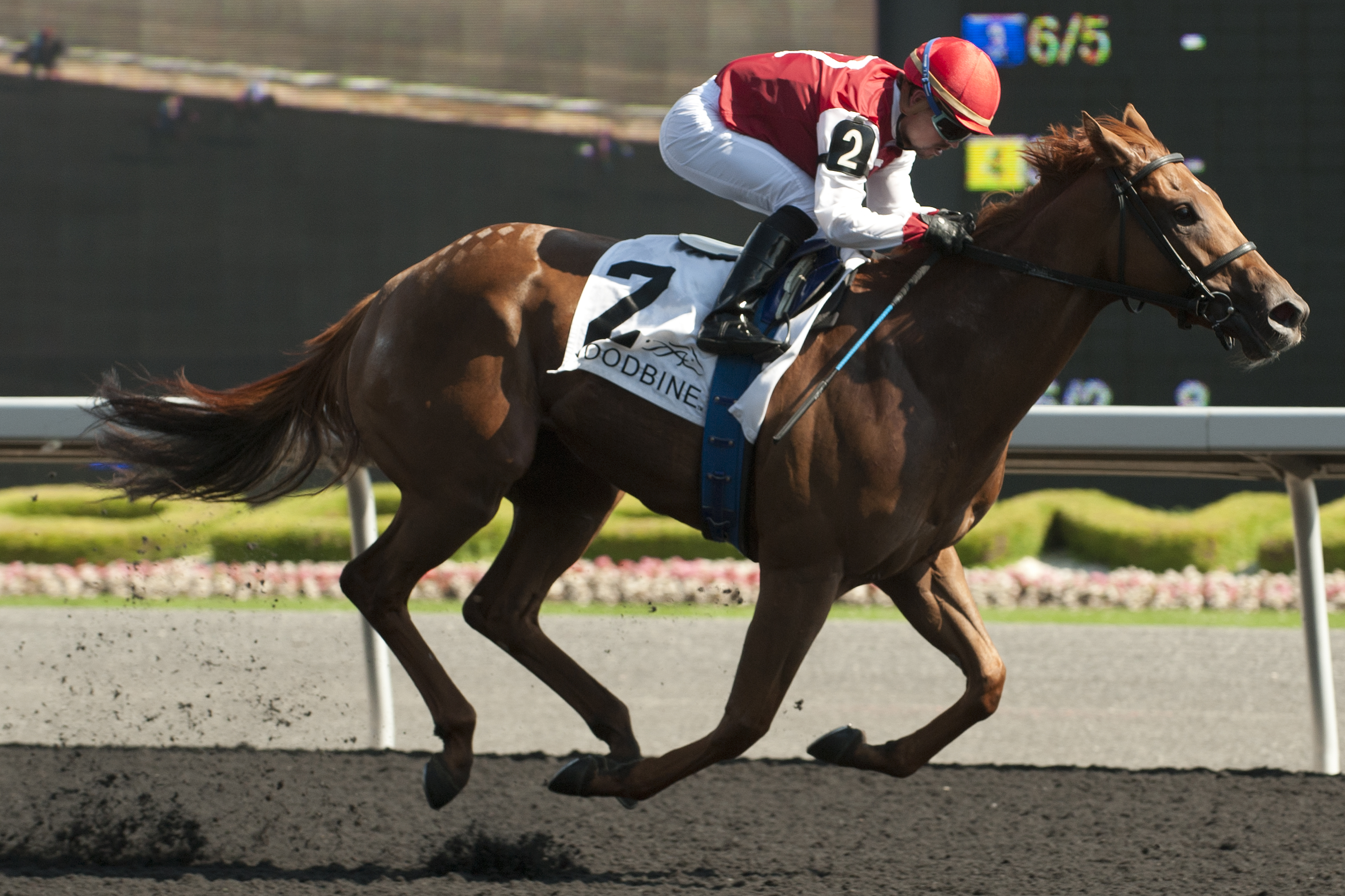 Unspurned wins 2014 Bison City