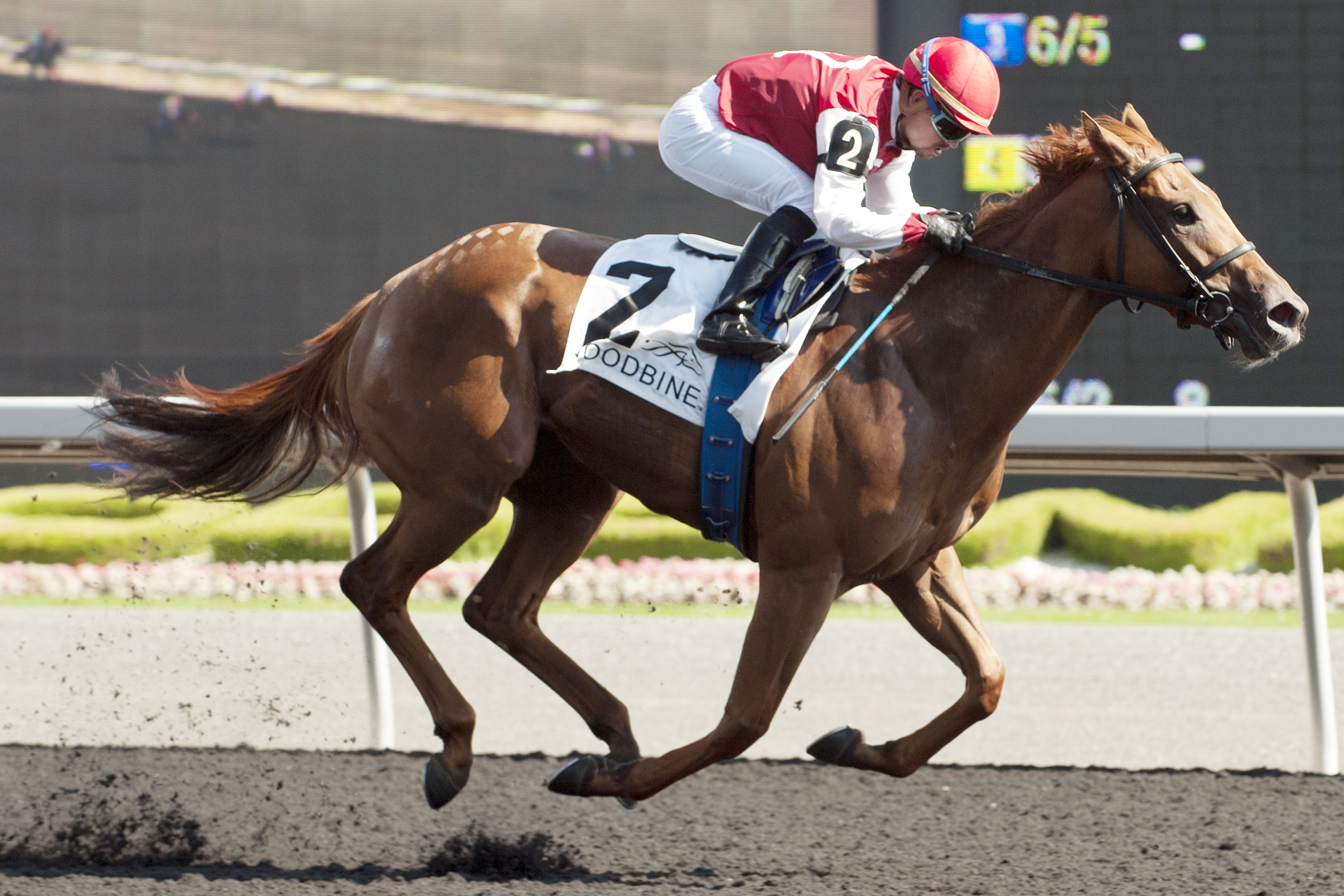 Unspurned wins the Bison City