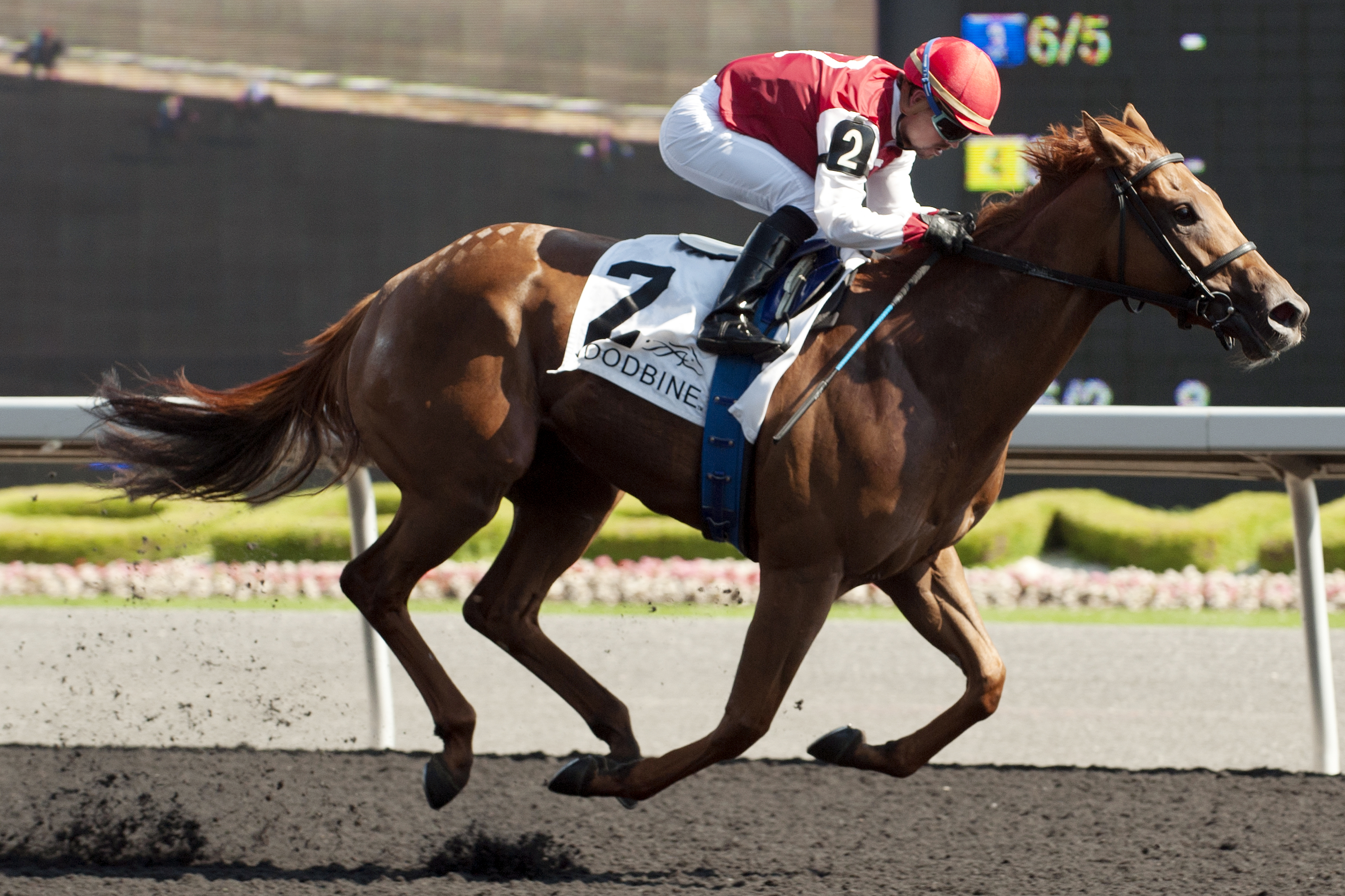 Unspurned wins the Bison City