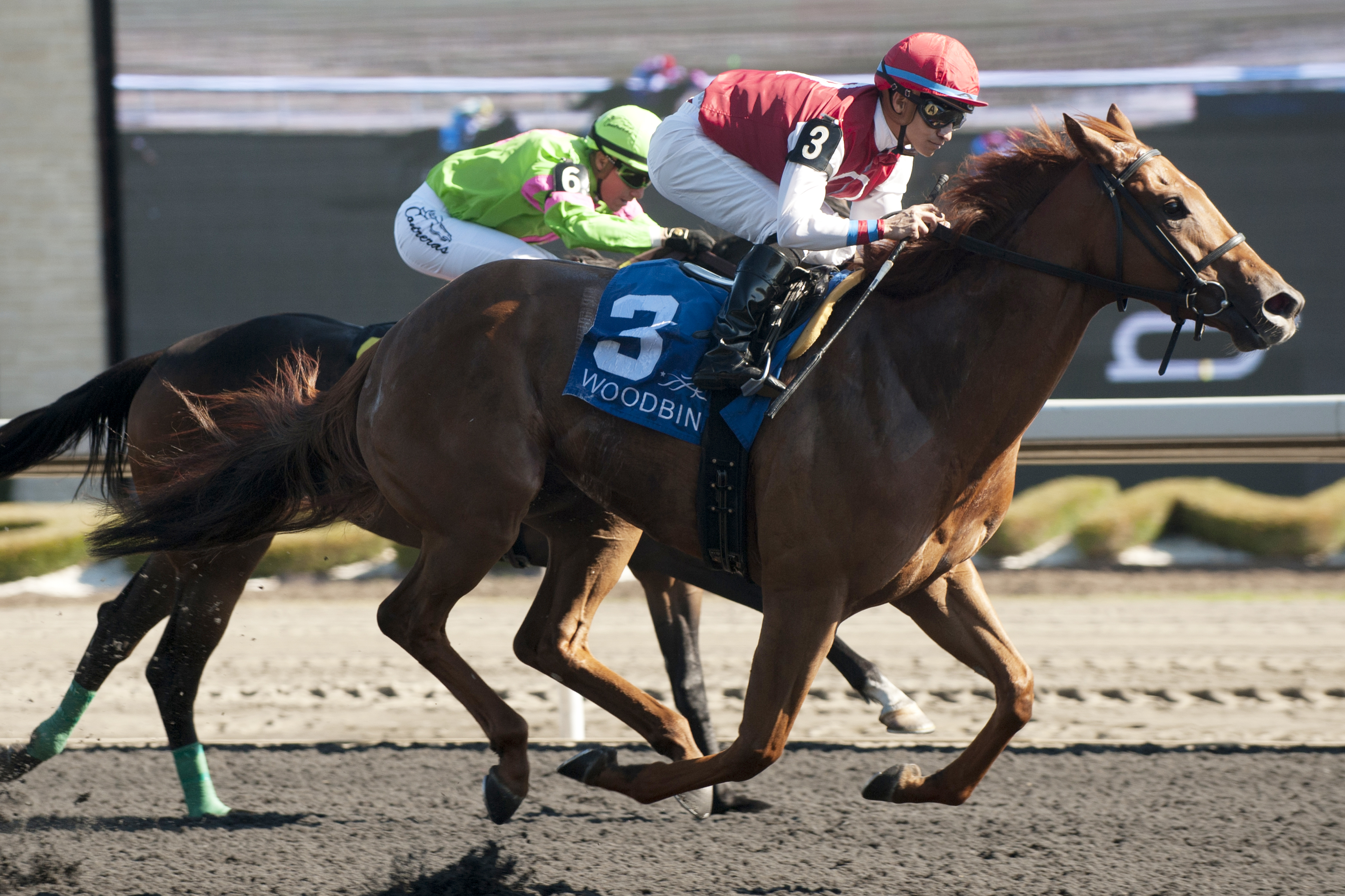 Unspurned wins the Whimsical Stakes