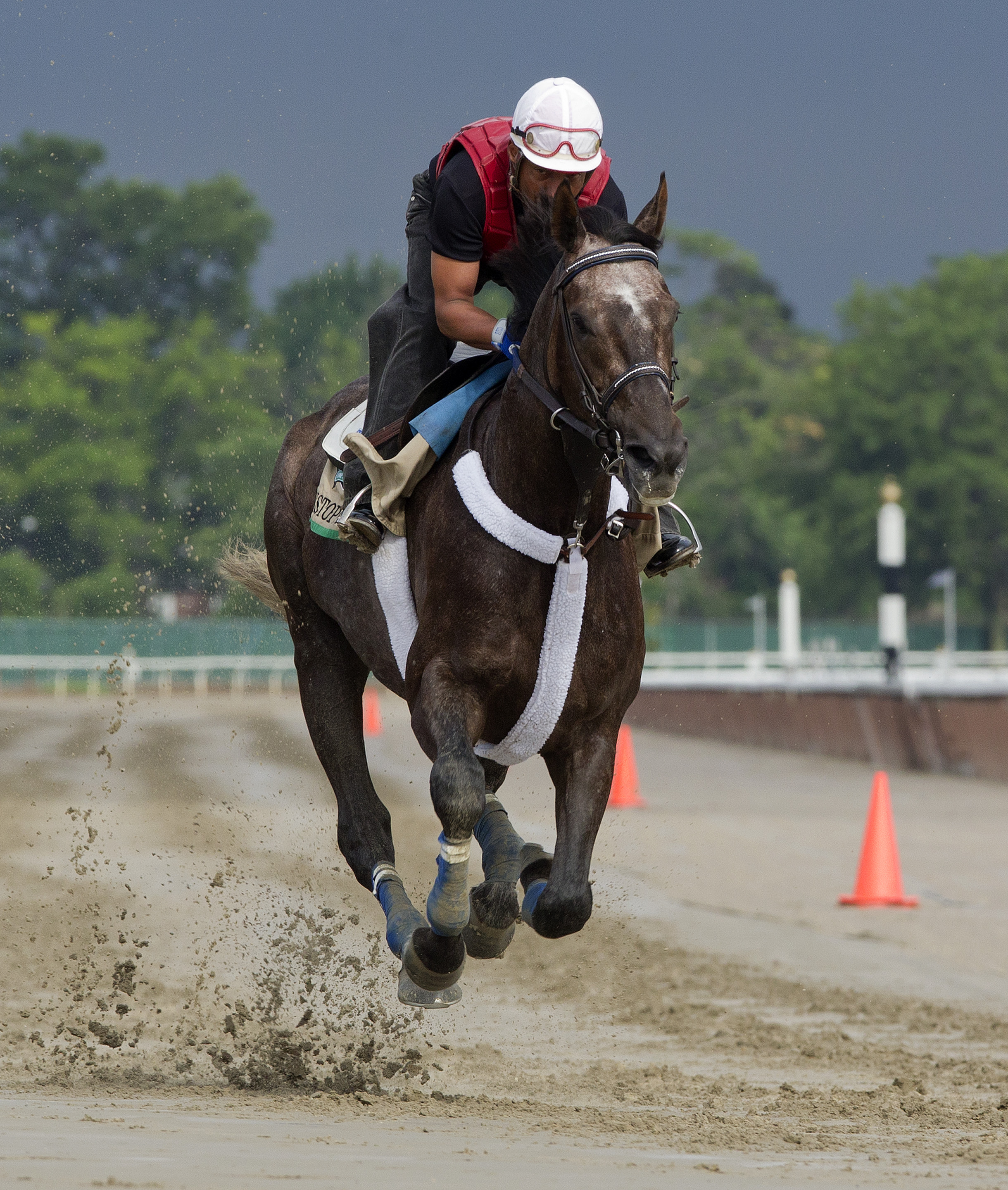 Belmont Stakes 2012: McPeek hopes lightning strikes twice