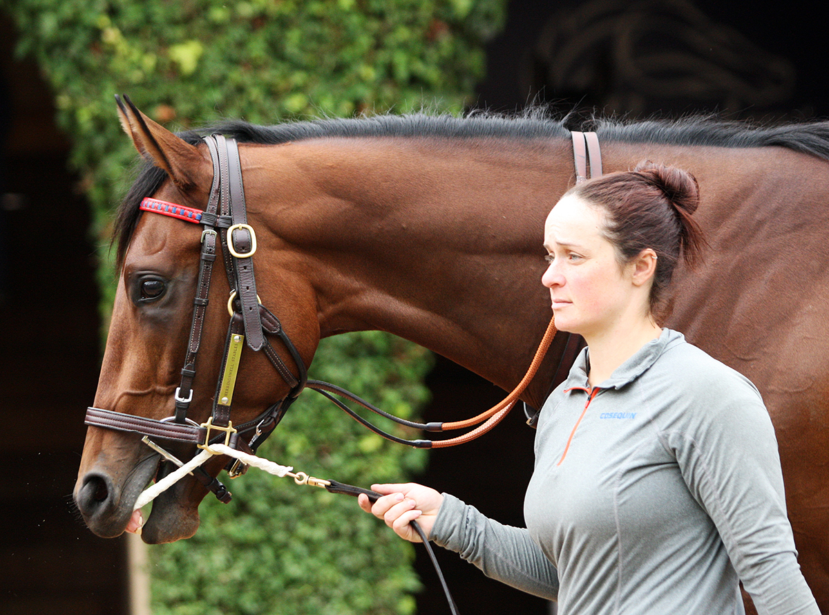 Untamed Domain in November 2017