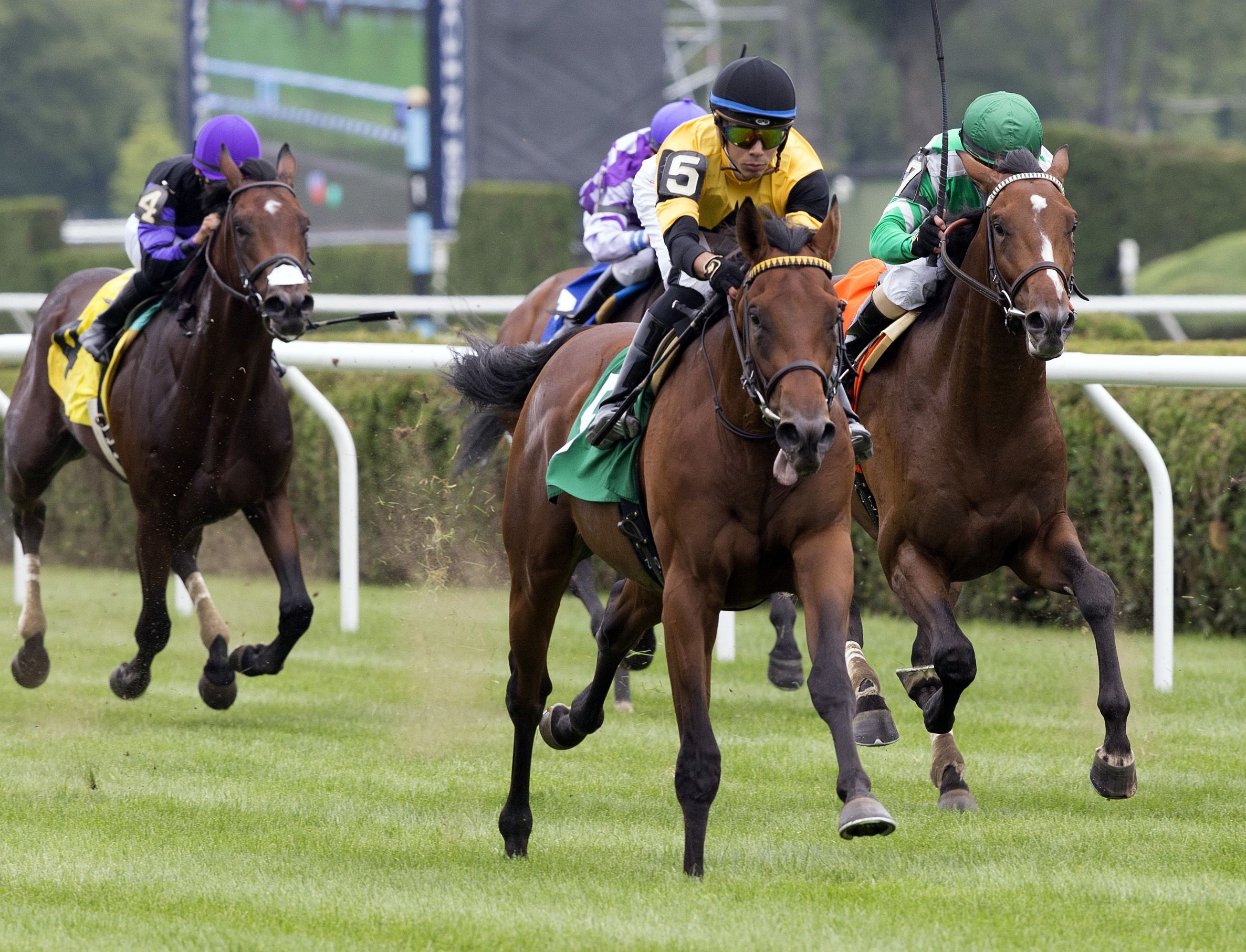 Untamed Domain wins a July 22 maiden race