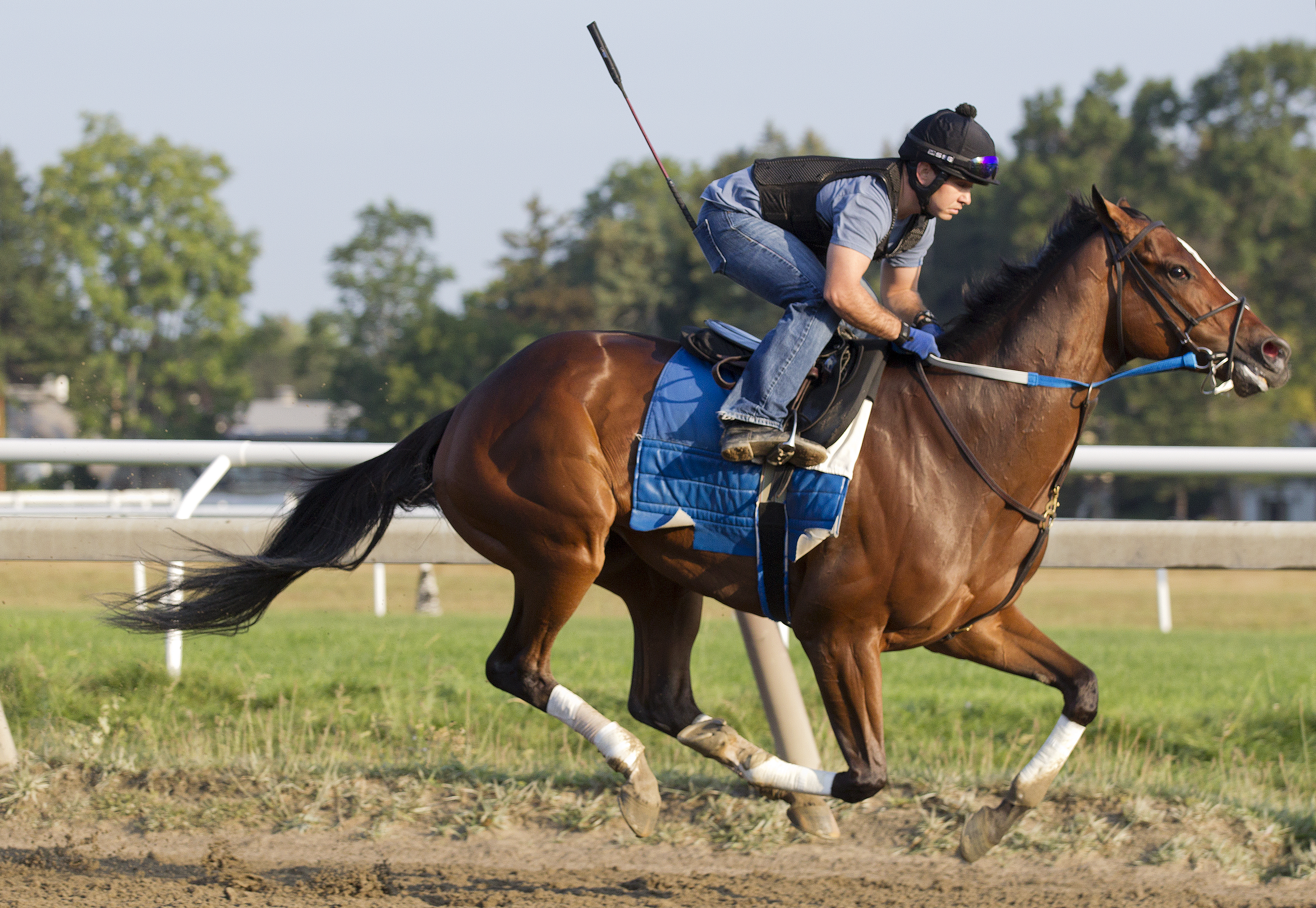 Untapable trains at Saratoga on Sept. 7