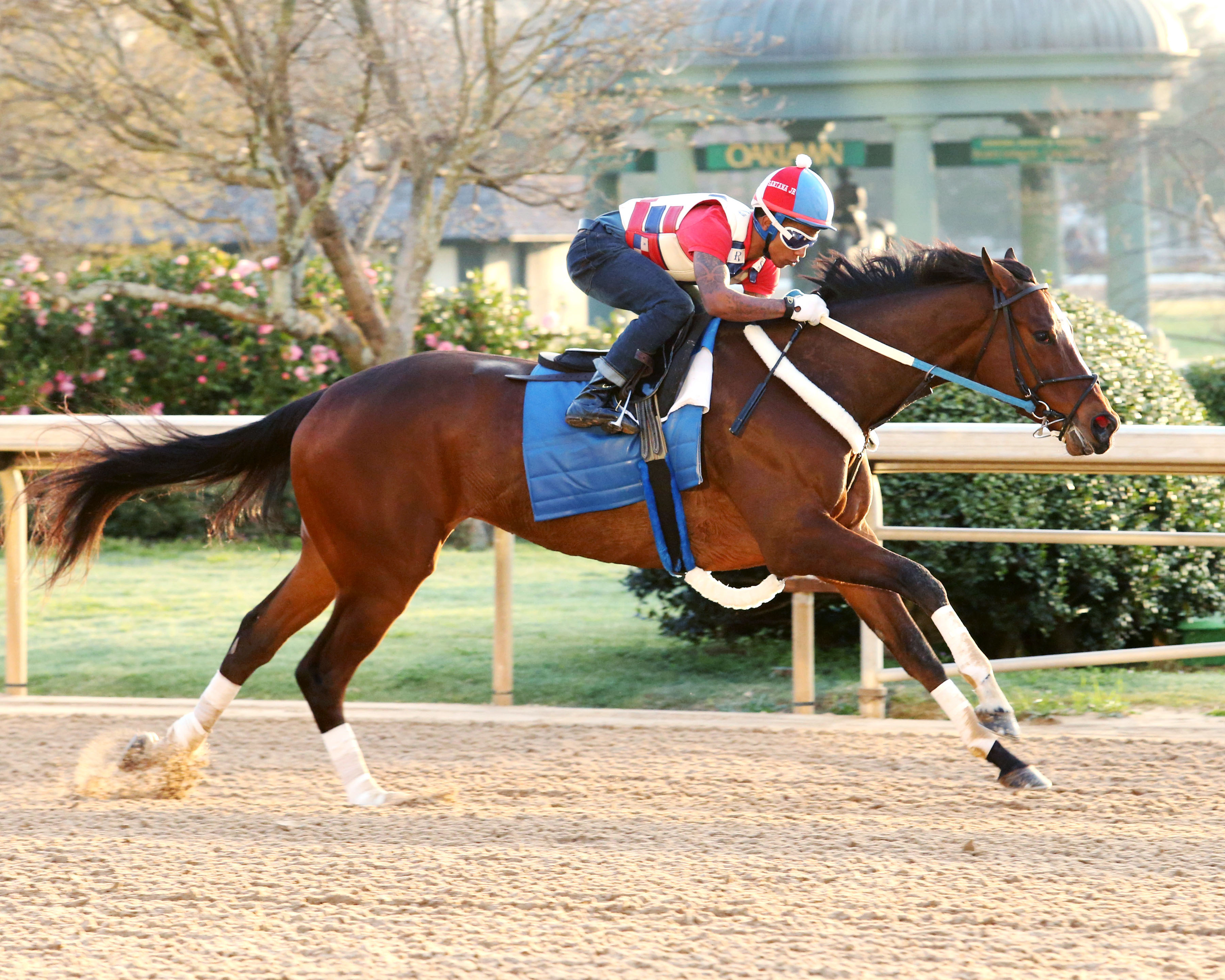 Untapable trains on March 7